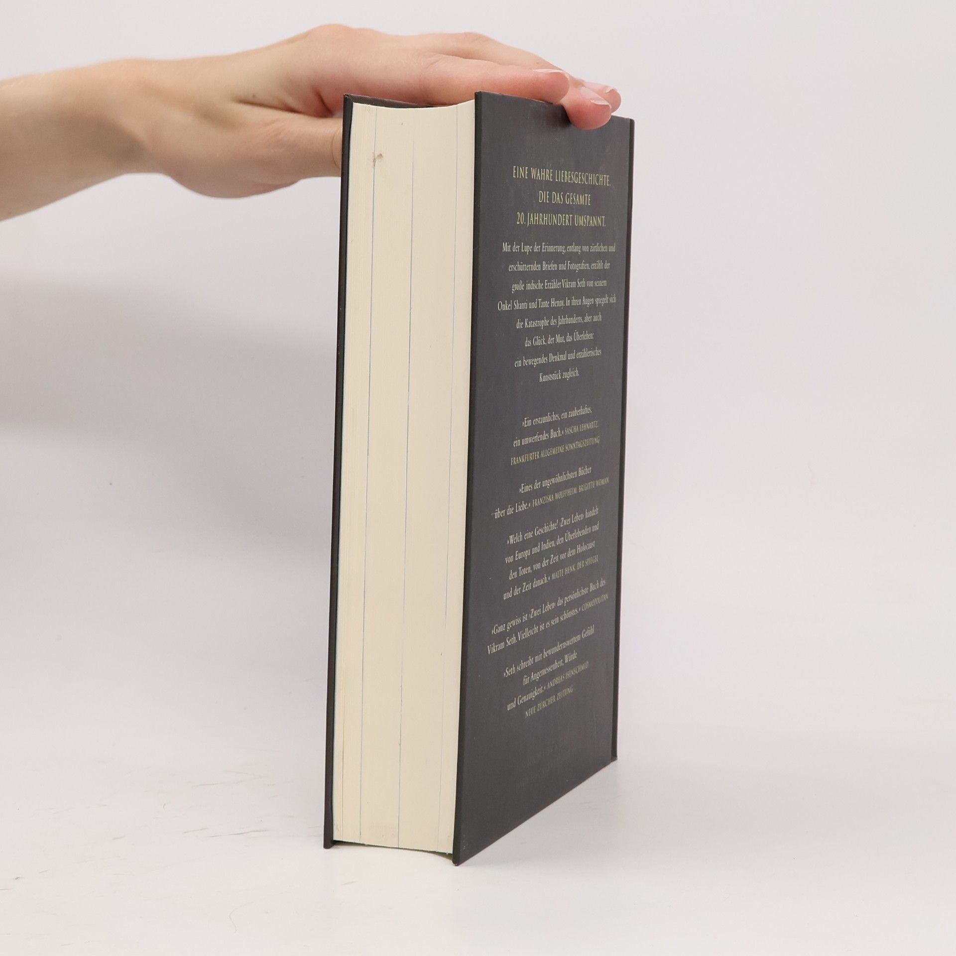 Vikram Seth Zwei Leben