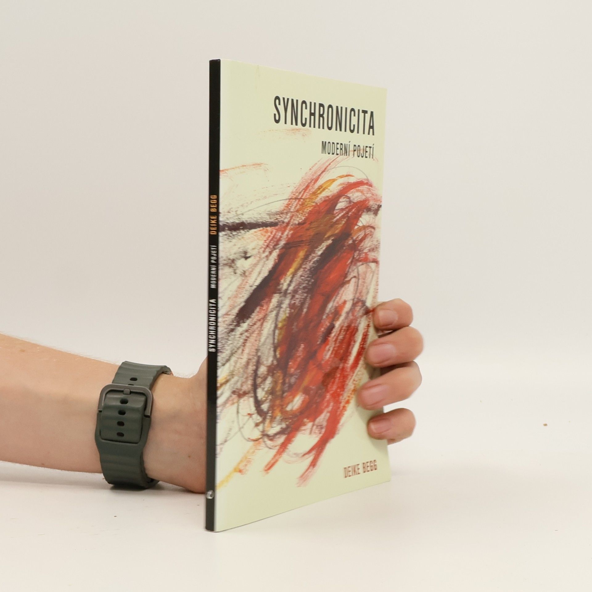 Deike Begg Synchonicita : moderní pojetí