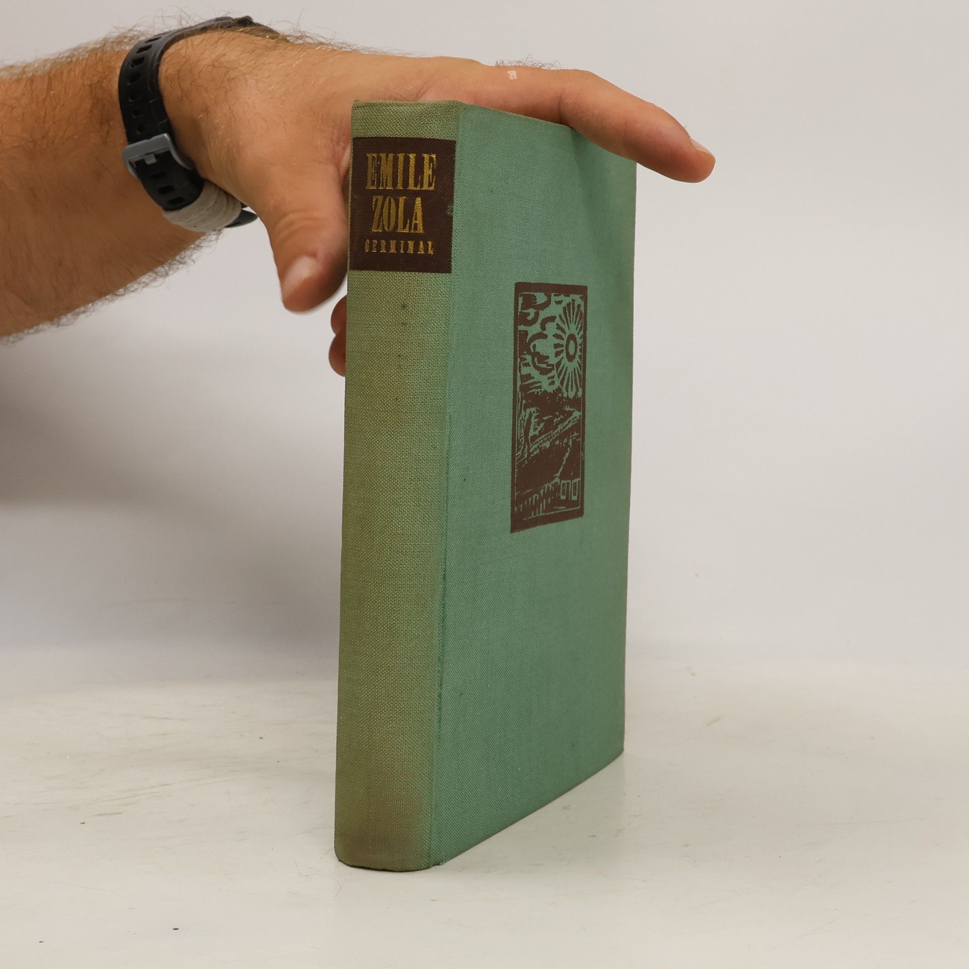 Émile Zola Germinal