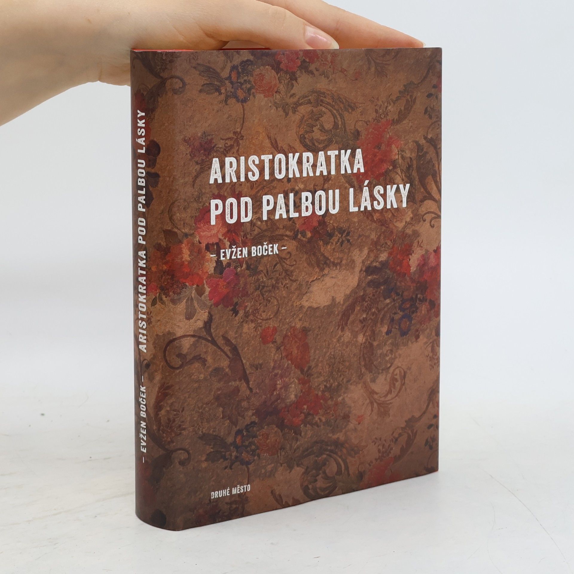 Aristokratka pod palbou lásky