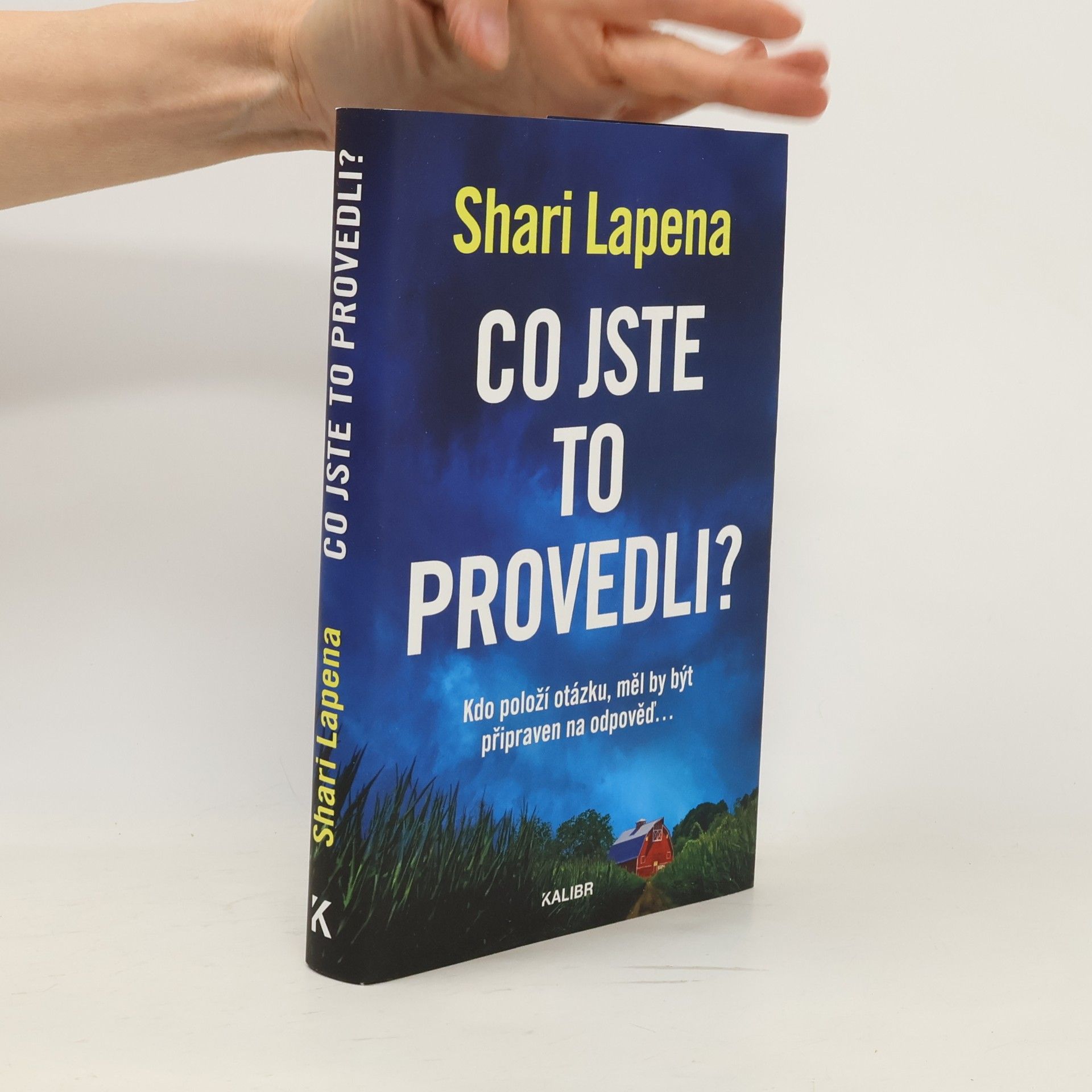 Shari Lapena Co jste to provedli?