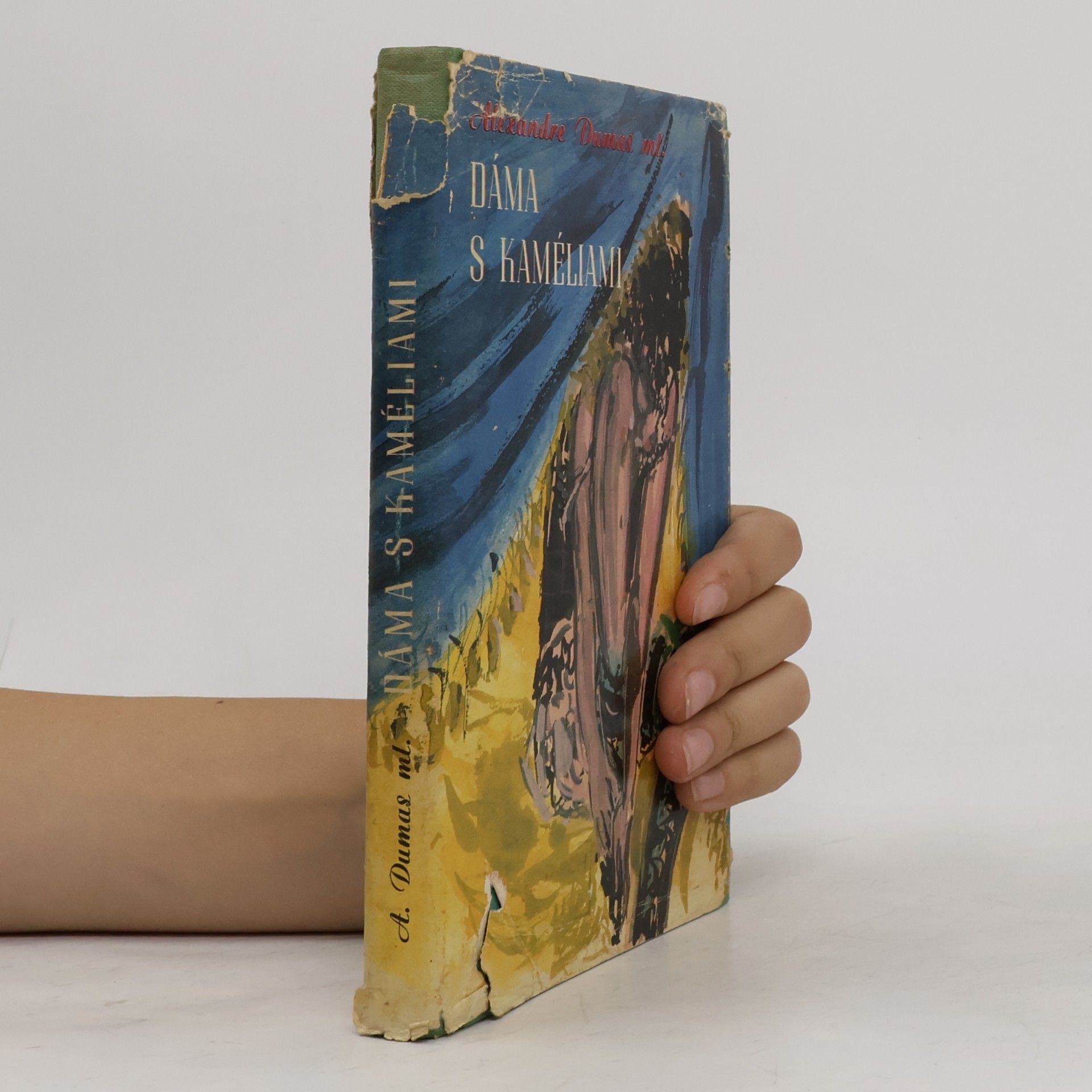 Alexandre Dumas der Jüngere Dáma s kaméliami