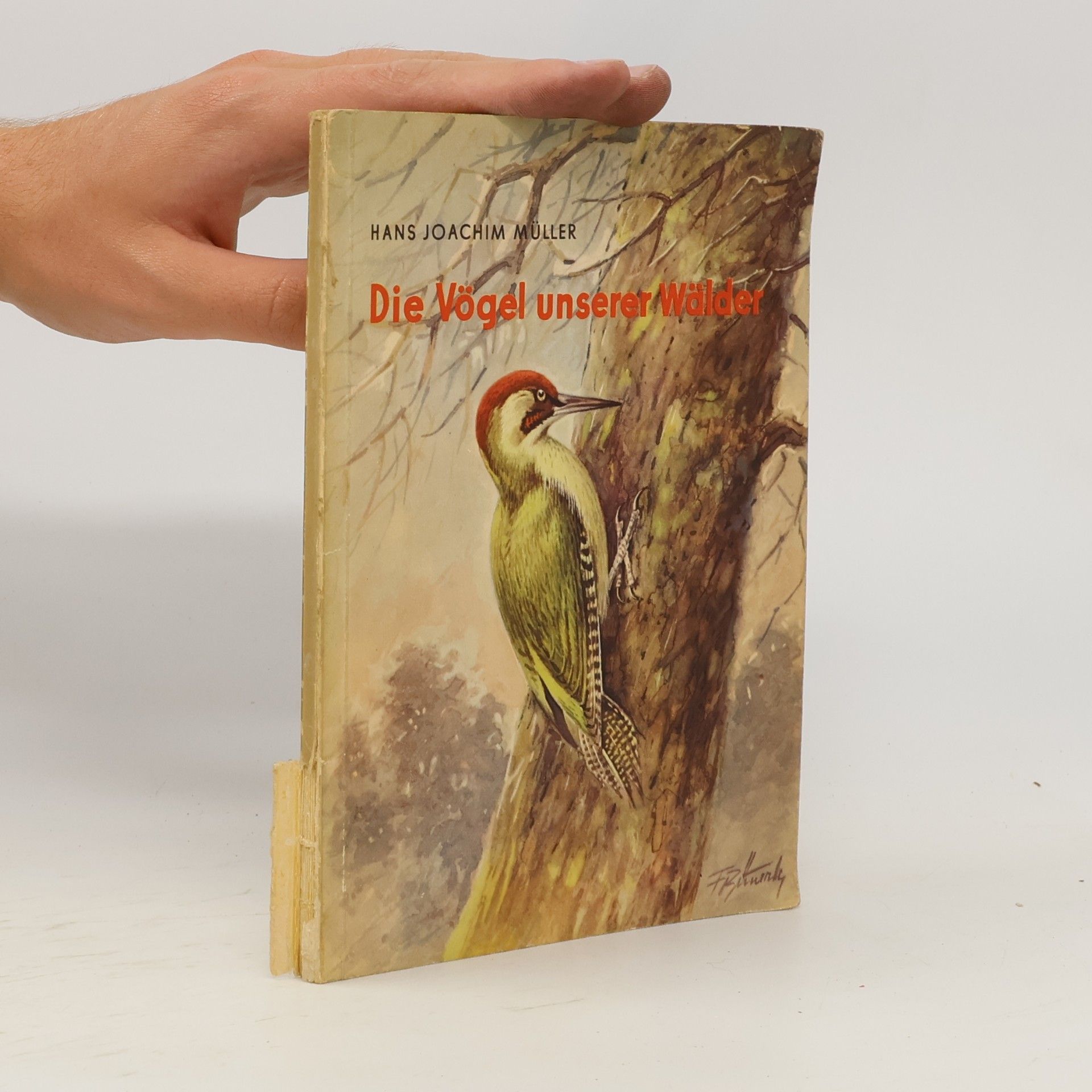Hans-Joachim Müller Die Vögel unserer Wälder