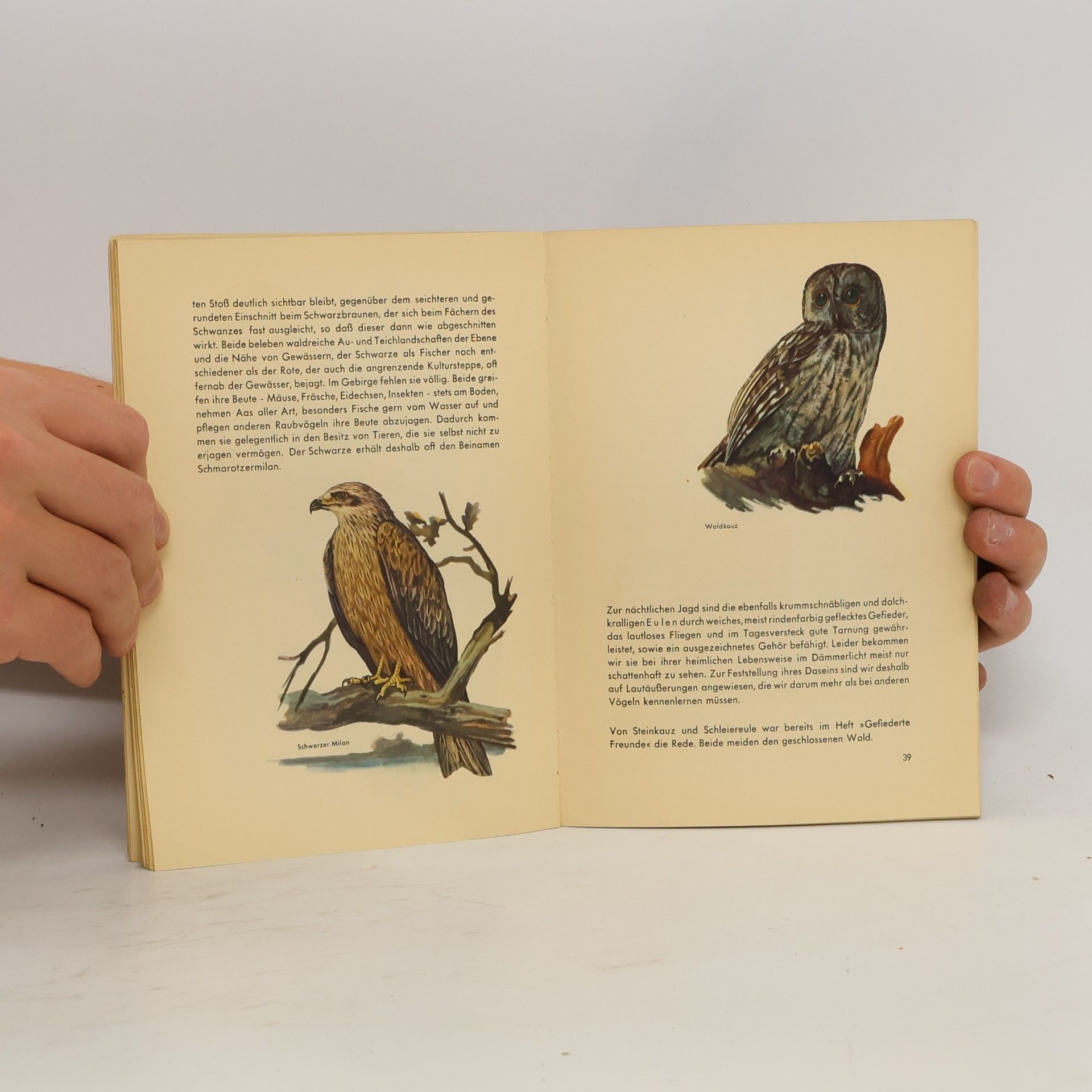 Hans-Joachim Müller Die Vögel unserer Wälder