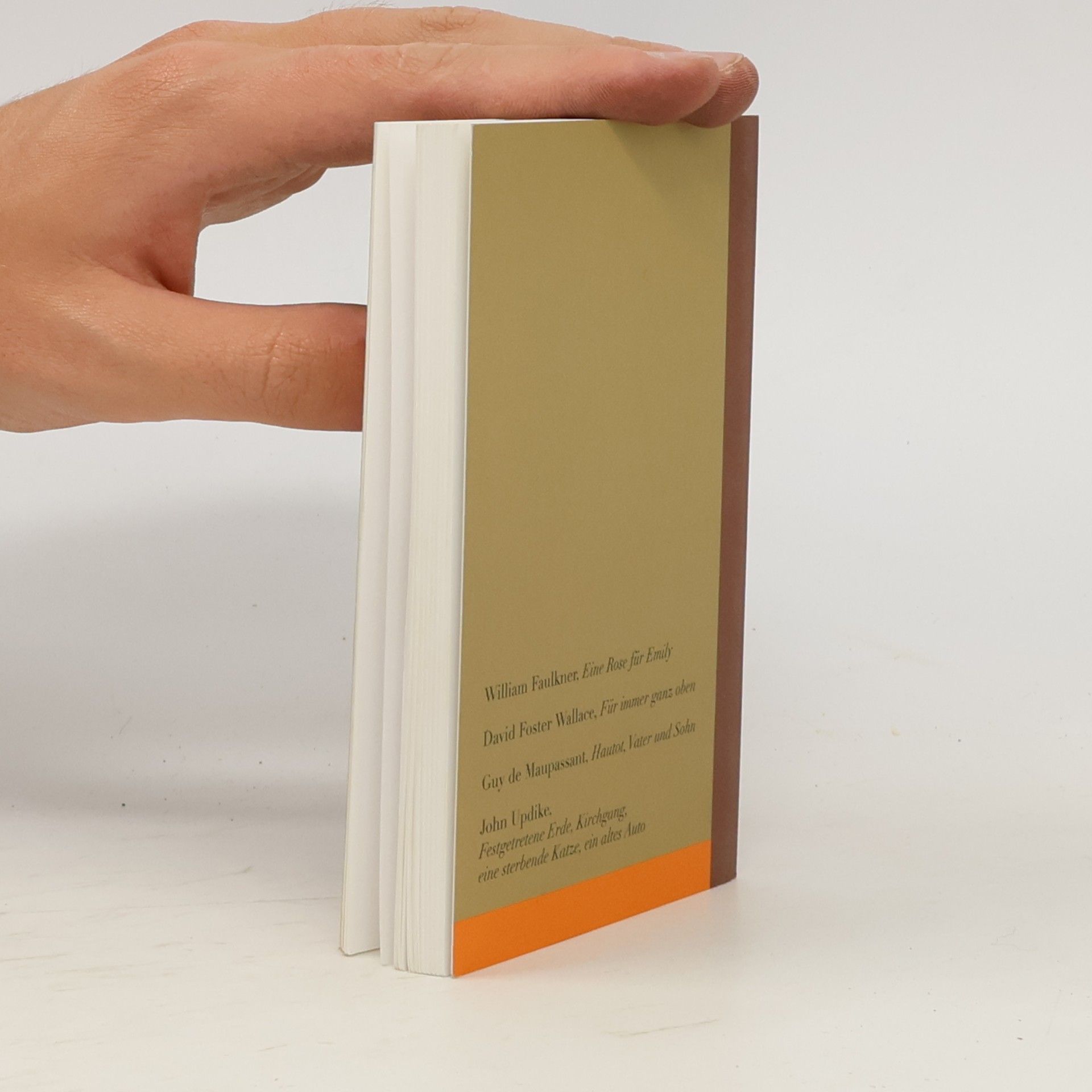 Autores varios 20-Minuten-Geschichten der Weltliteratur
