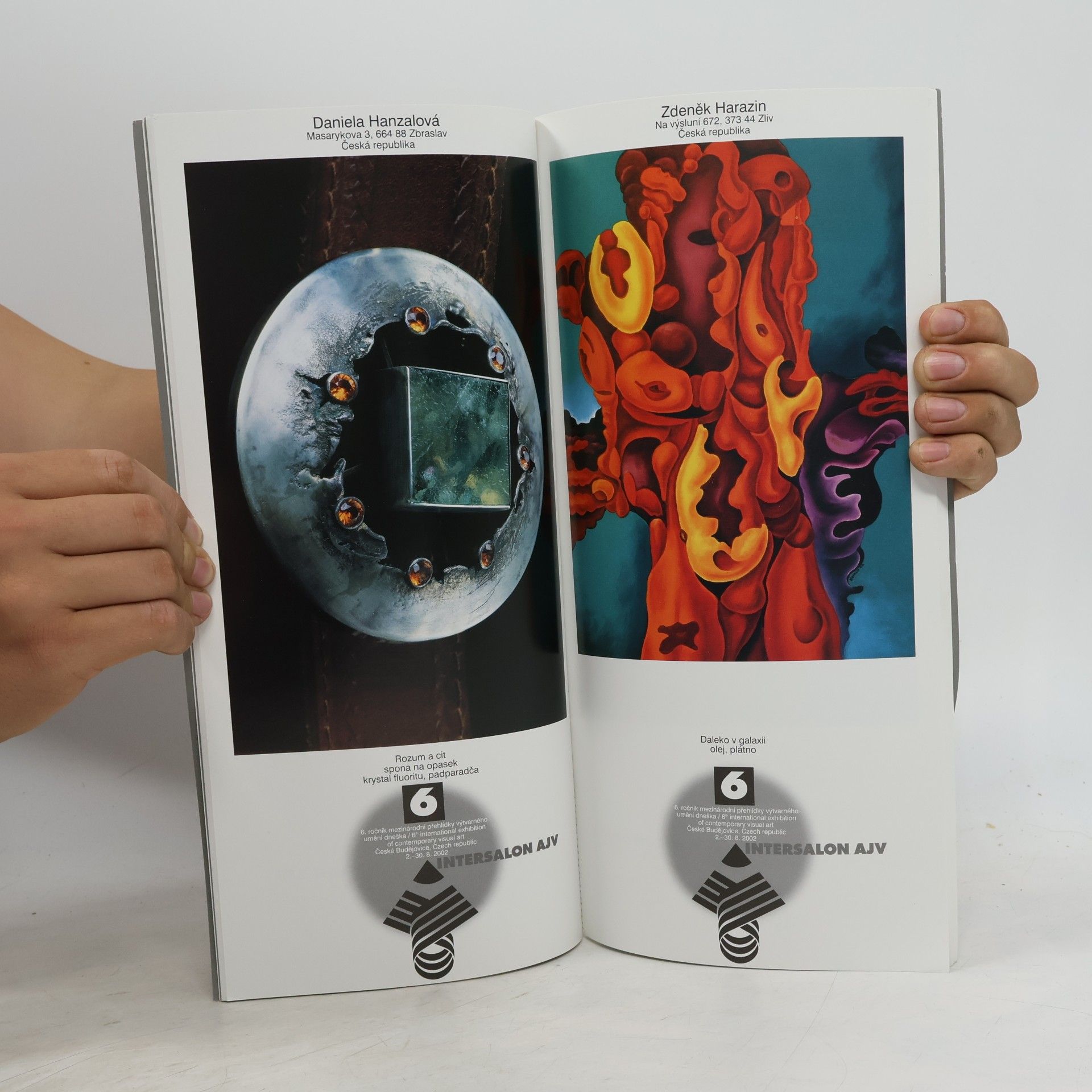 Intersalon AJV 2002