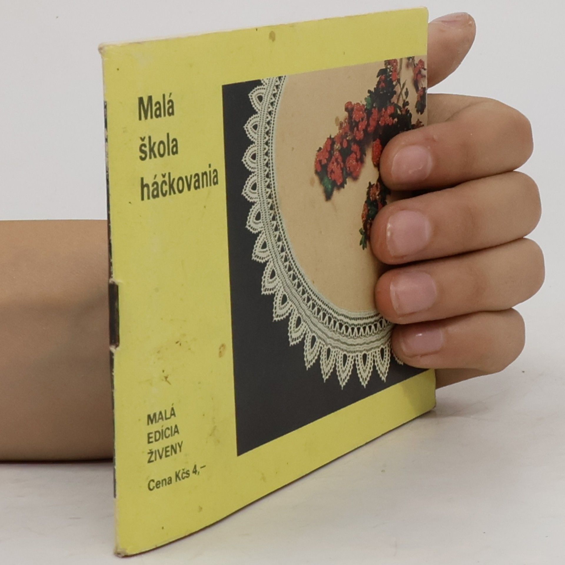 Agáta Hudáková Malá škola háčkovania