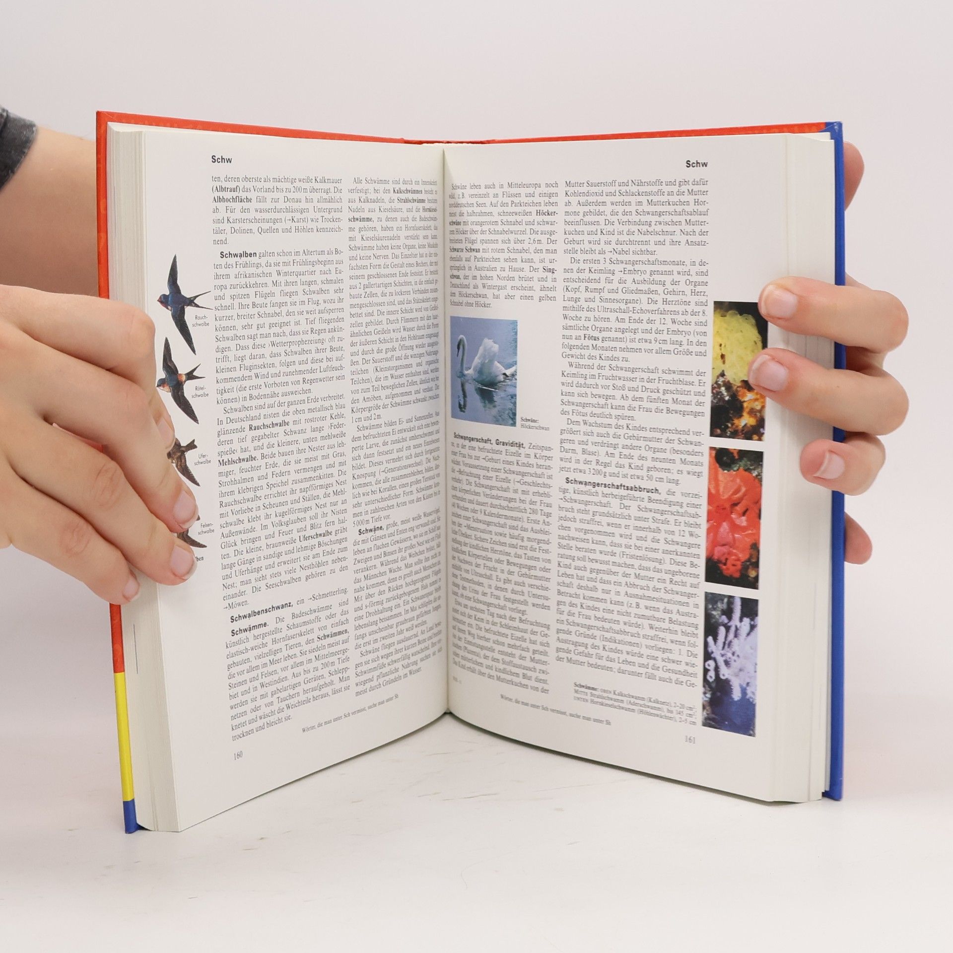 Autorenkollektiv Der Jugend-Brockhaus 3. Pic-Z