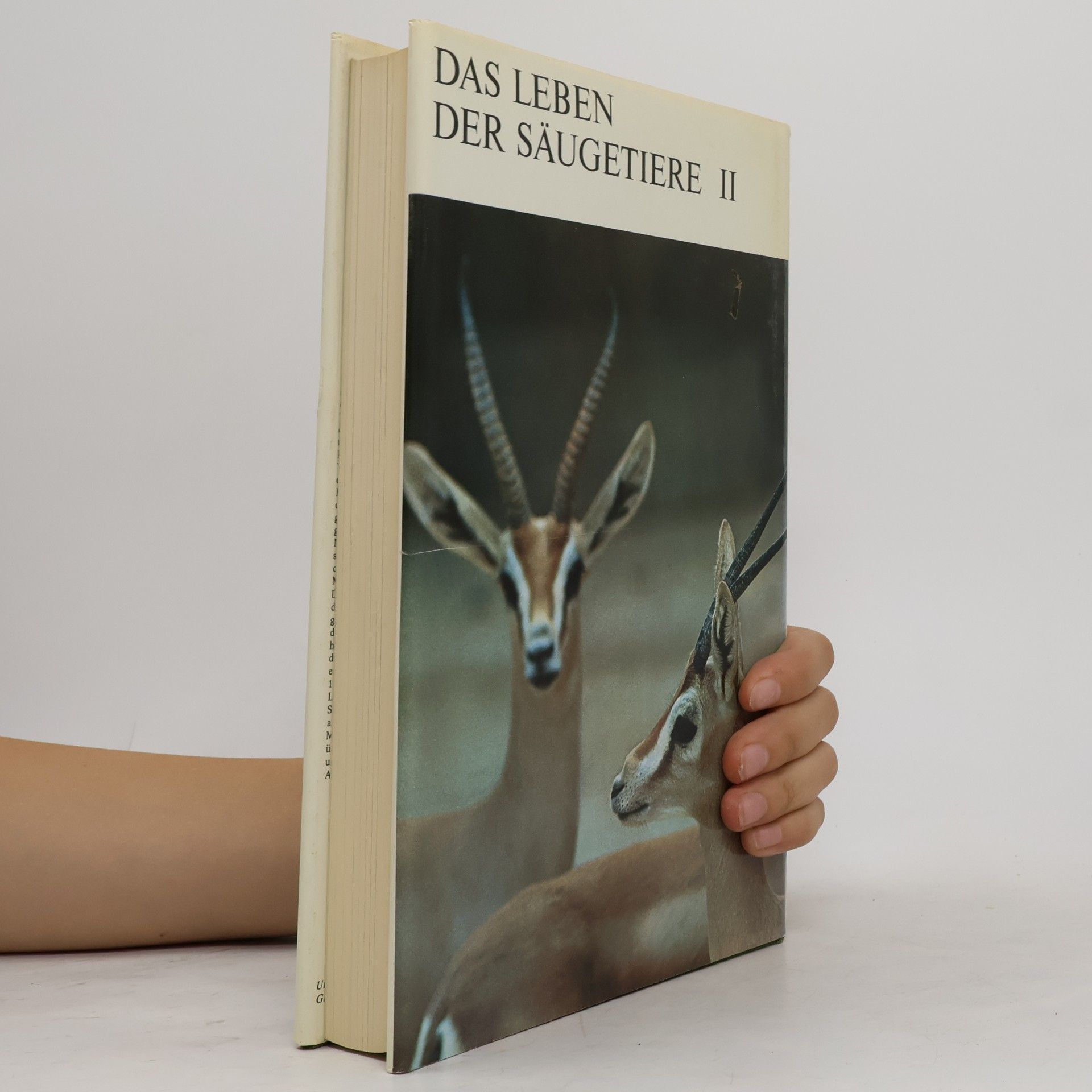 L. Harrison Matthews Das Leben der Säugetiere II.
