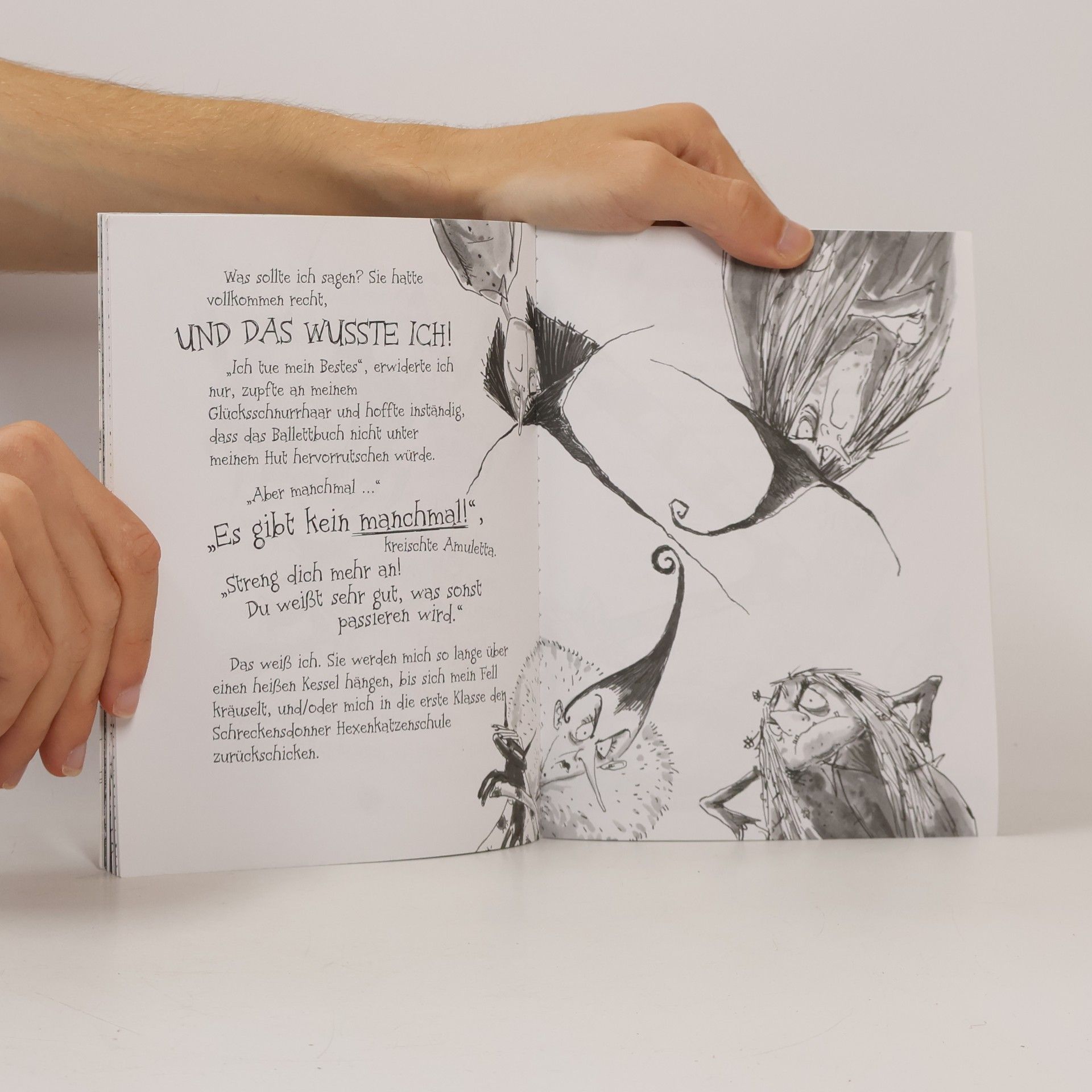 Hiawyn Oram Rumblewicks Tagebuch - Hilfe, meine Hexe lernt Ballett!