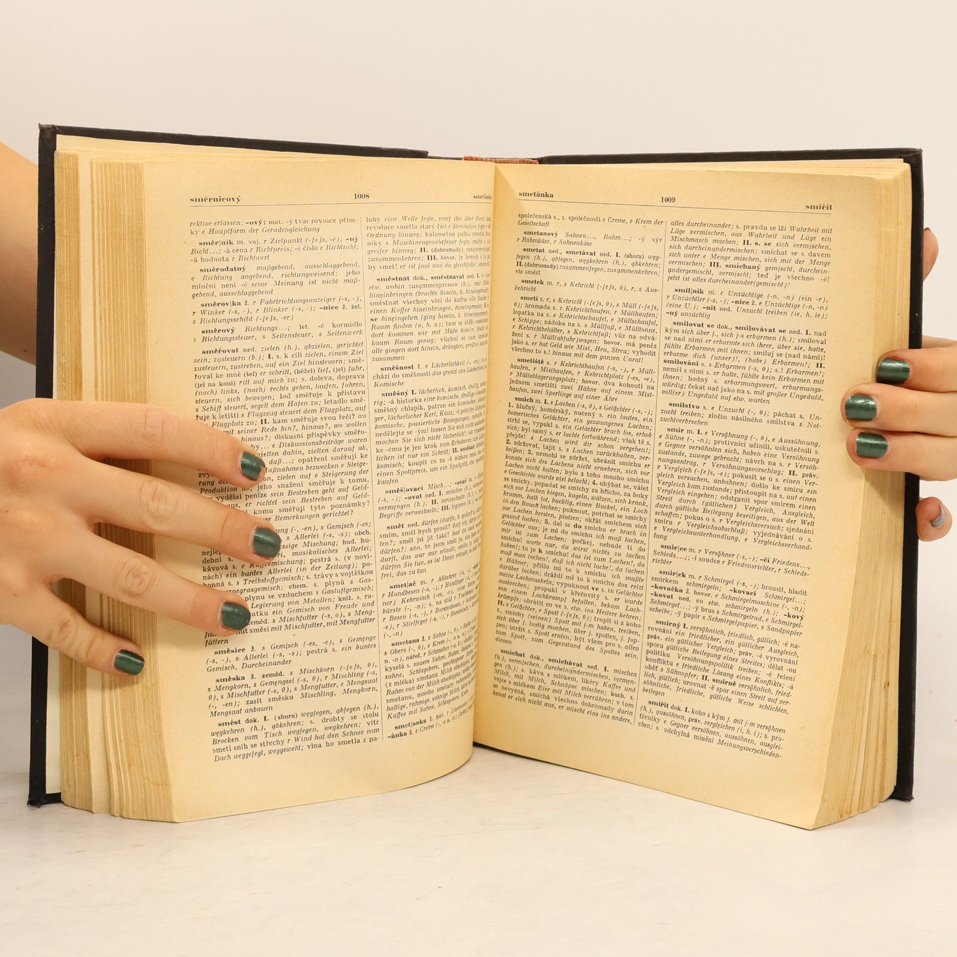 Autorenkollektiv Česko-německý slovník, díl 2 (P-Ž).