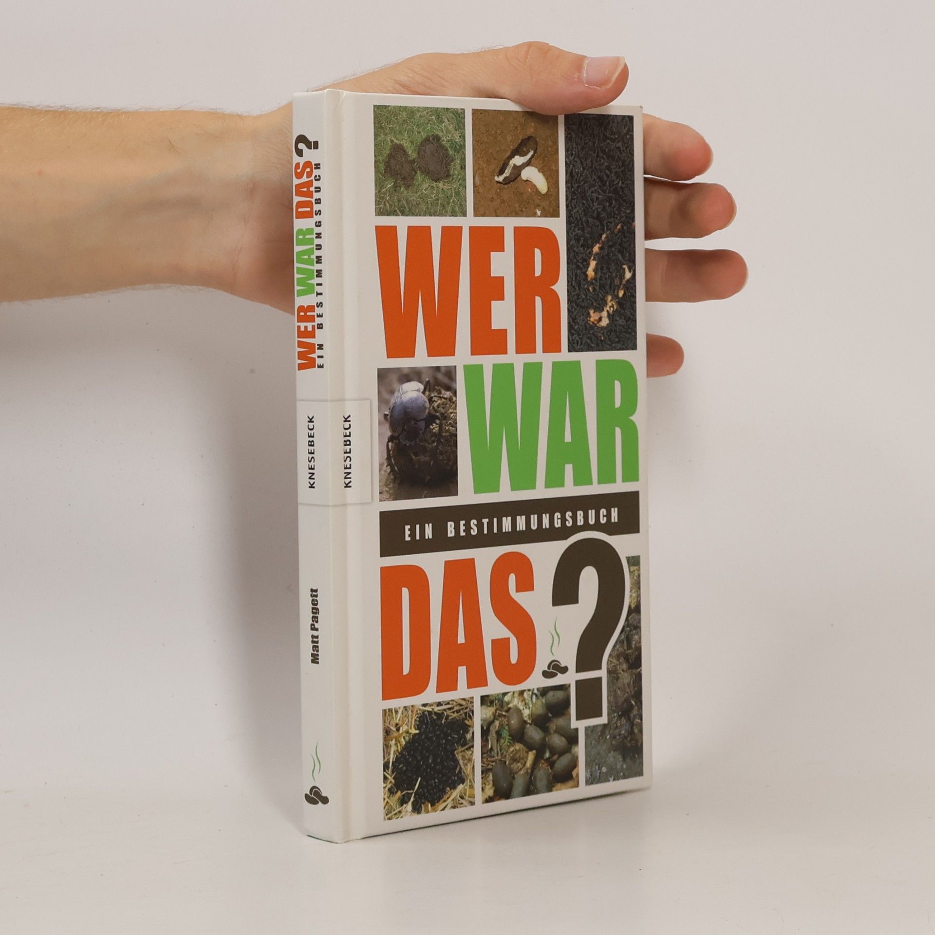 Matt Pagett Wer war das?