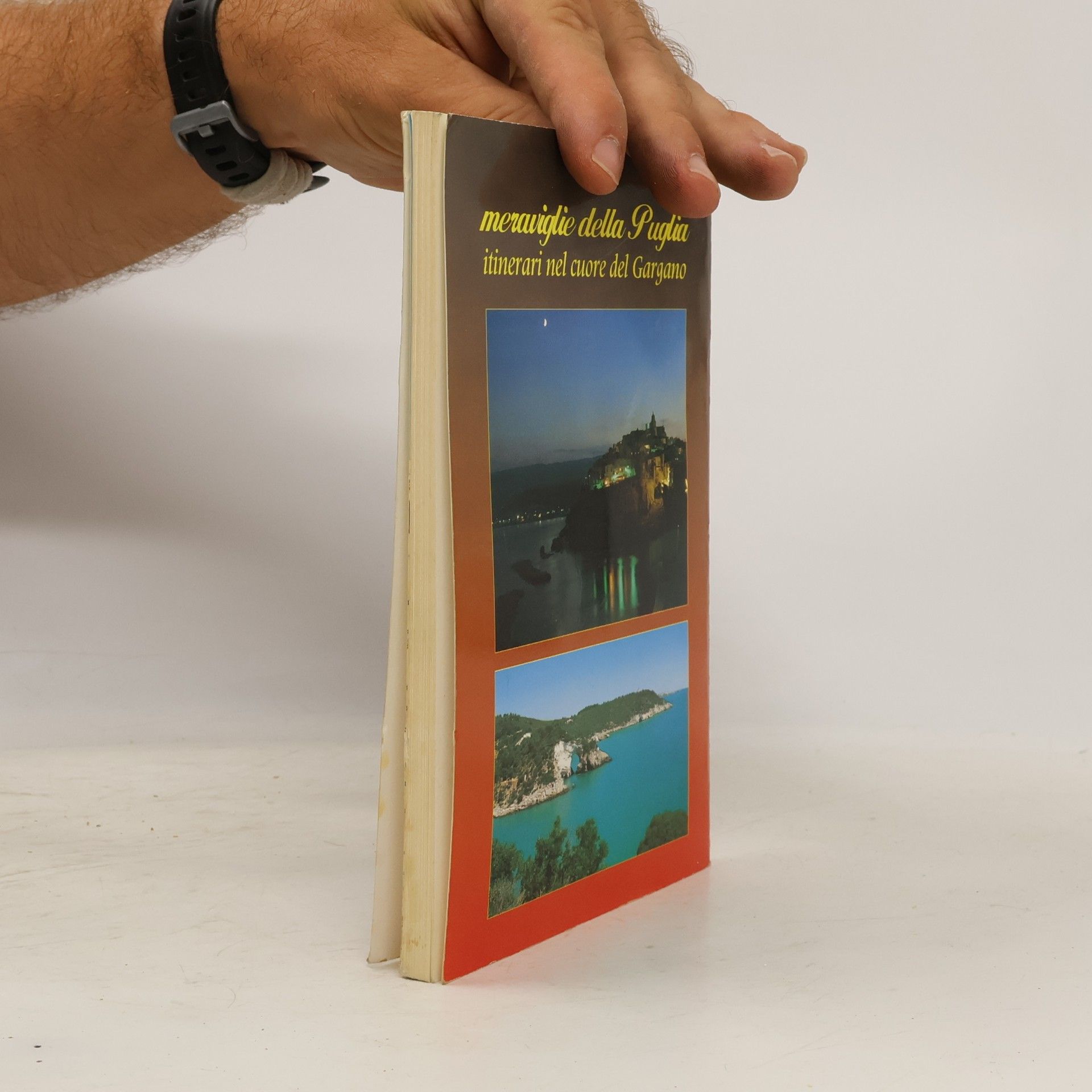 Various authors Vieste