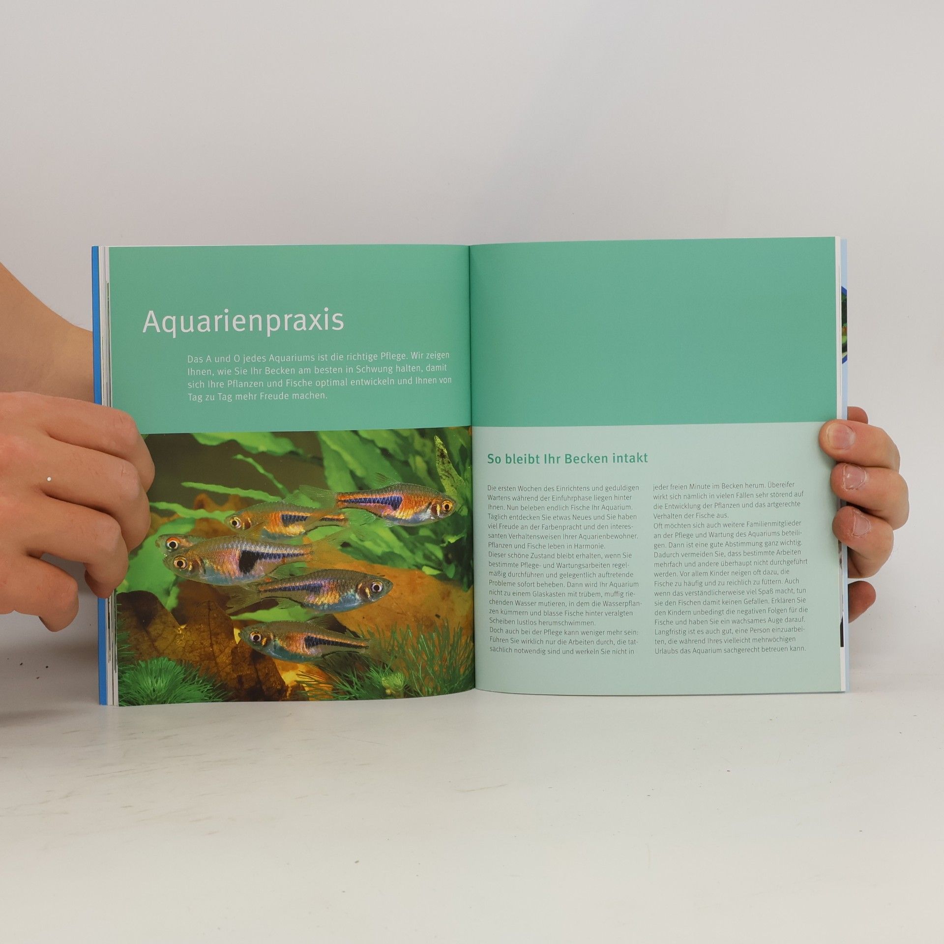 Axel Gutjahr Das Aquarium