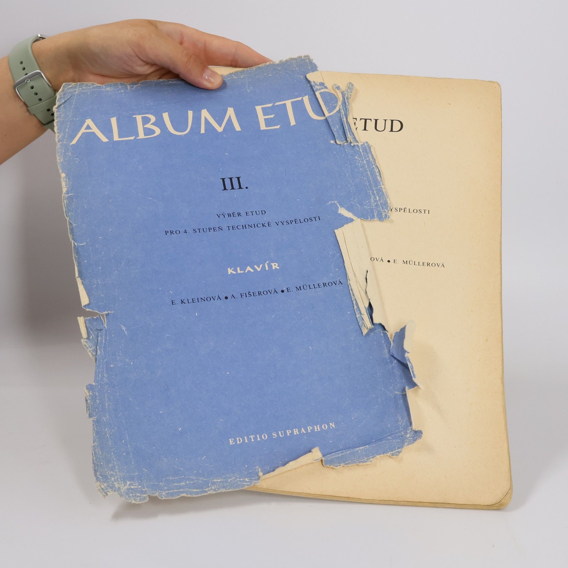 Kleinová E. Album etud III