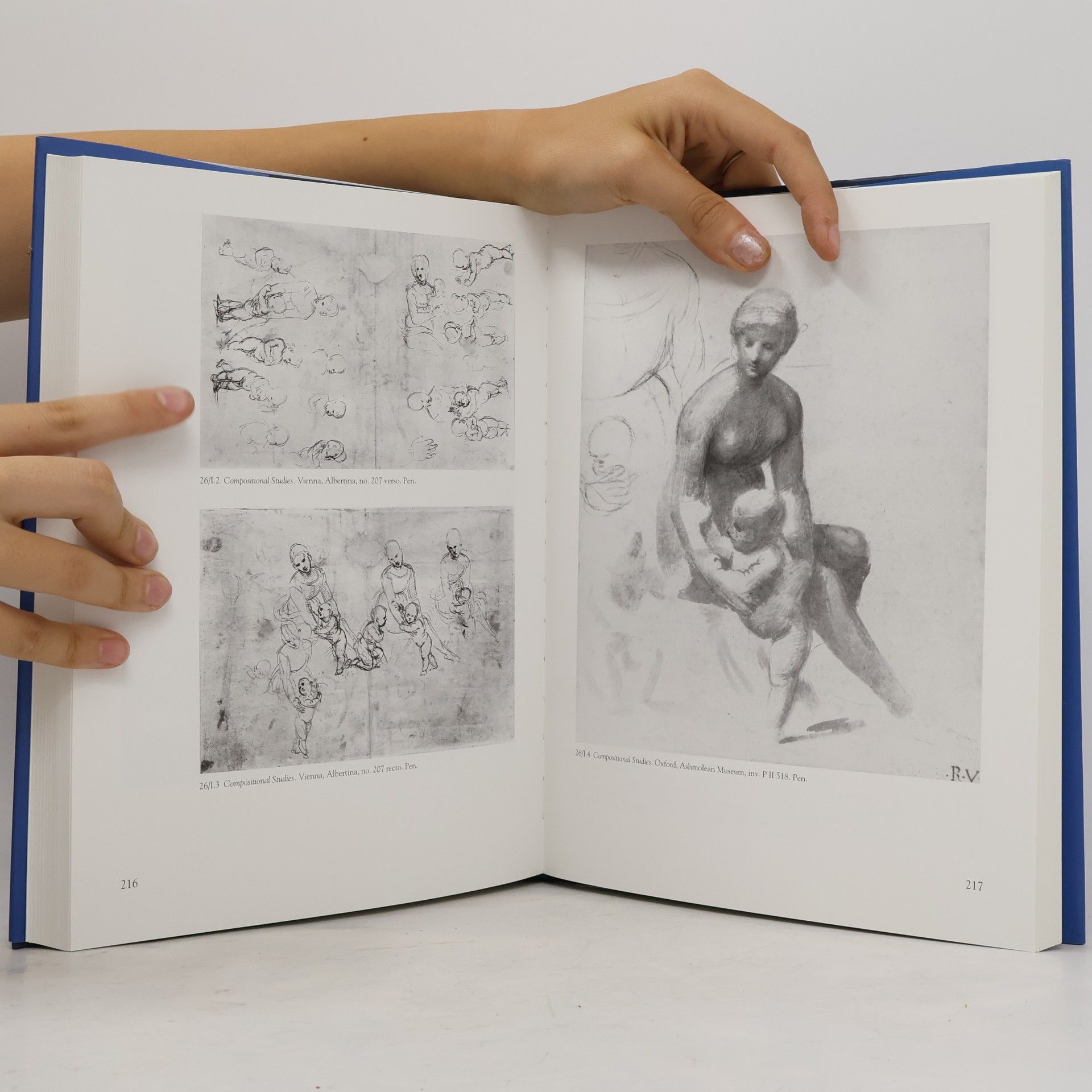 Jürg Meyer zur Capellen A Critical Catalogue of His Paintings - 1: Raphael