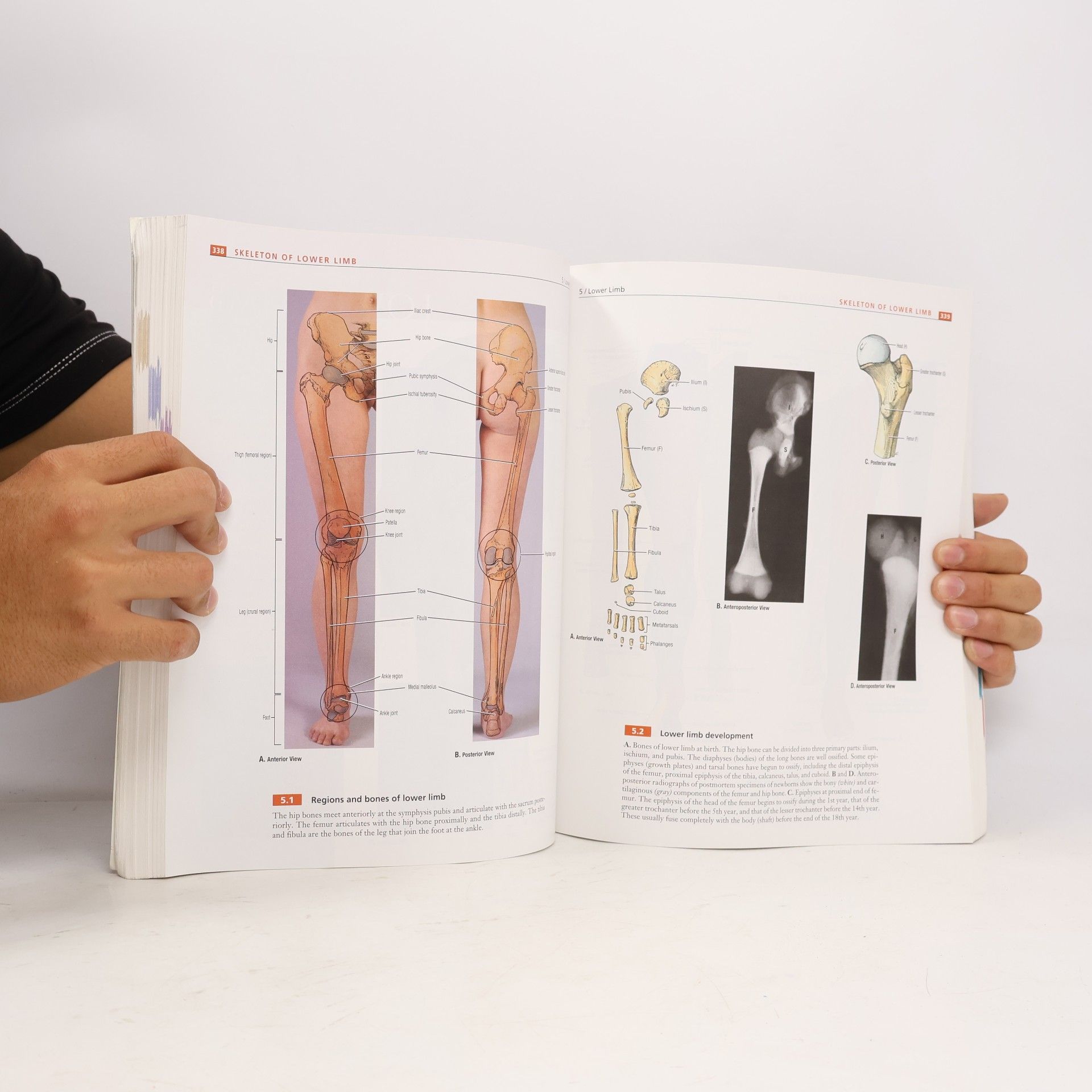 Anne M. R. Agur Grant's Atlas of Anatomy - Eleventh Edition