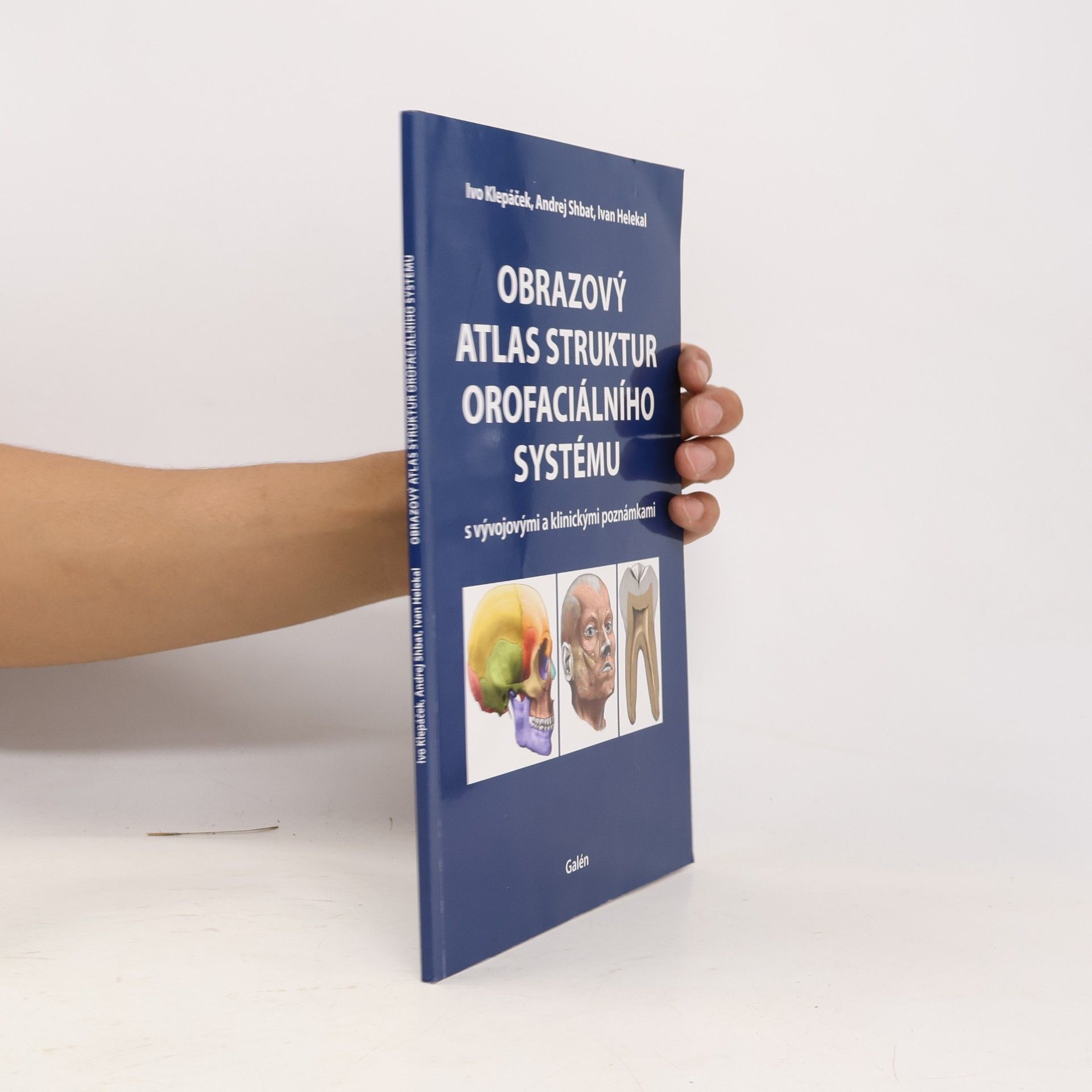 Obrazový atlas struktur orofaciálního systému (2024)
