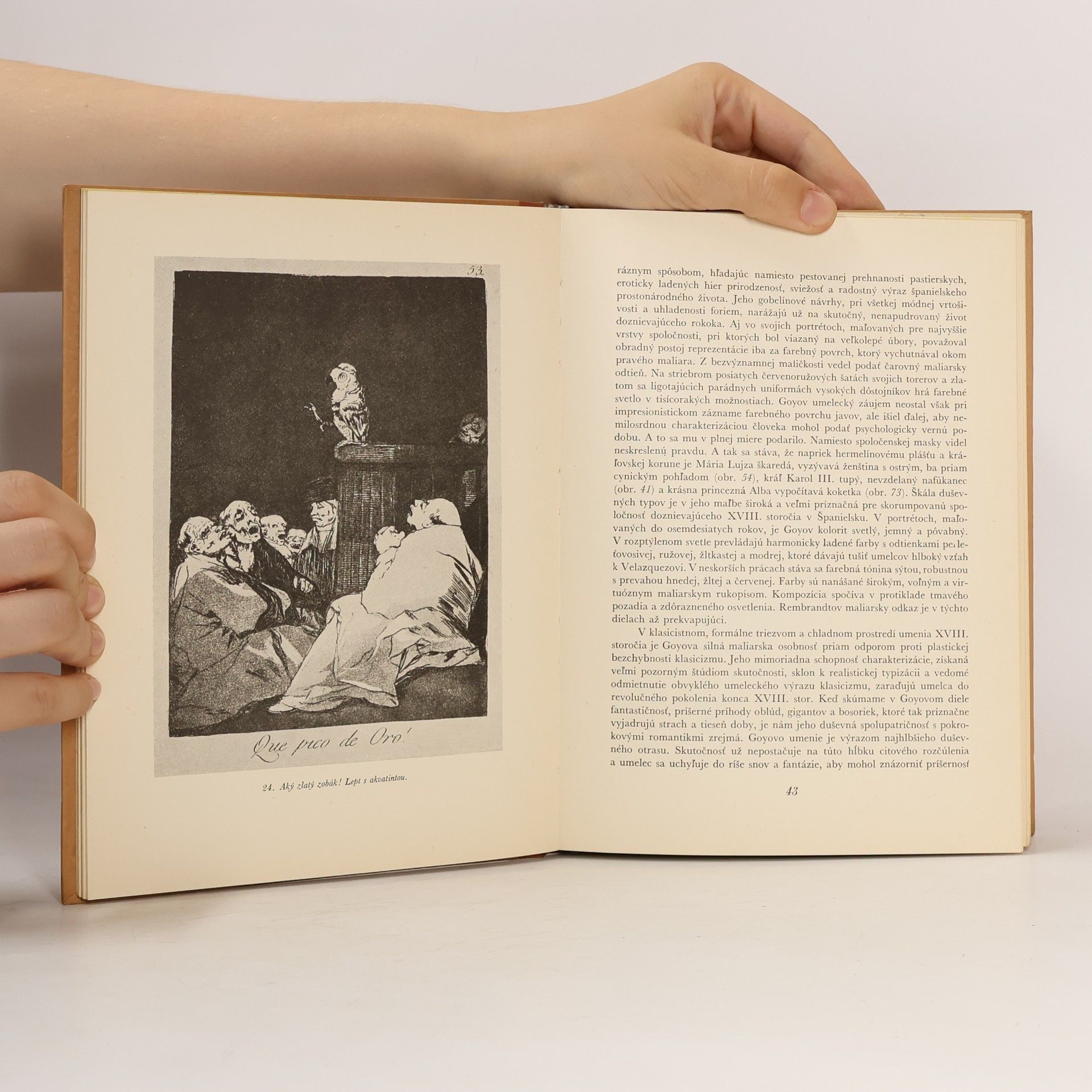 Alžběta Güntherová-Mayerová Francisco de Goya y Lucientes