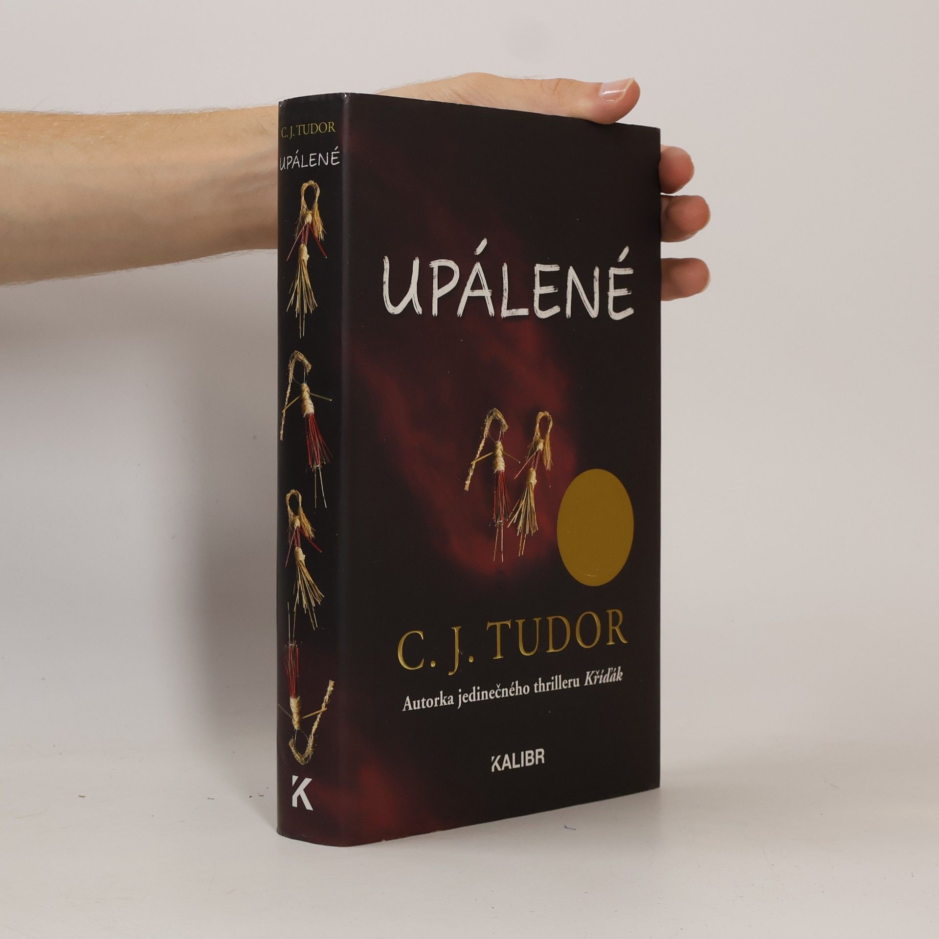 C. J. Tudor Upálené