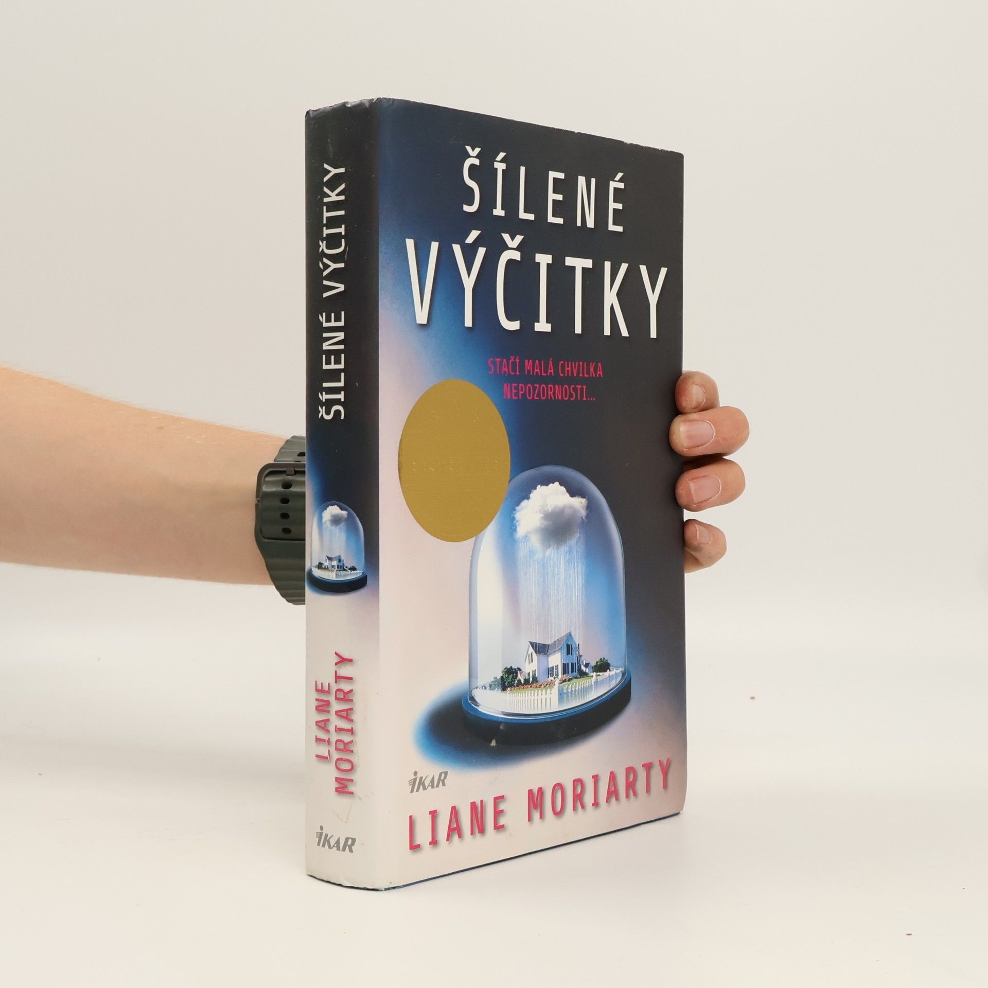 Liane Moriarty Šílené výčitky