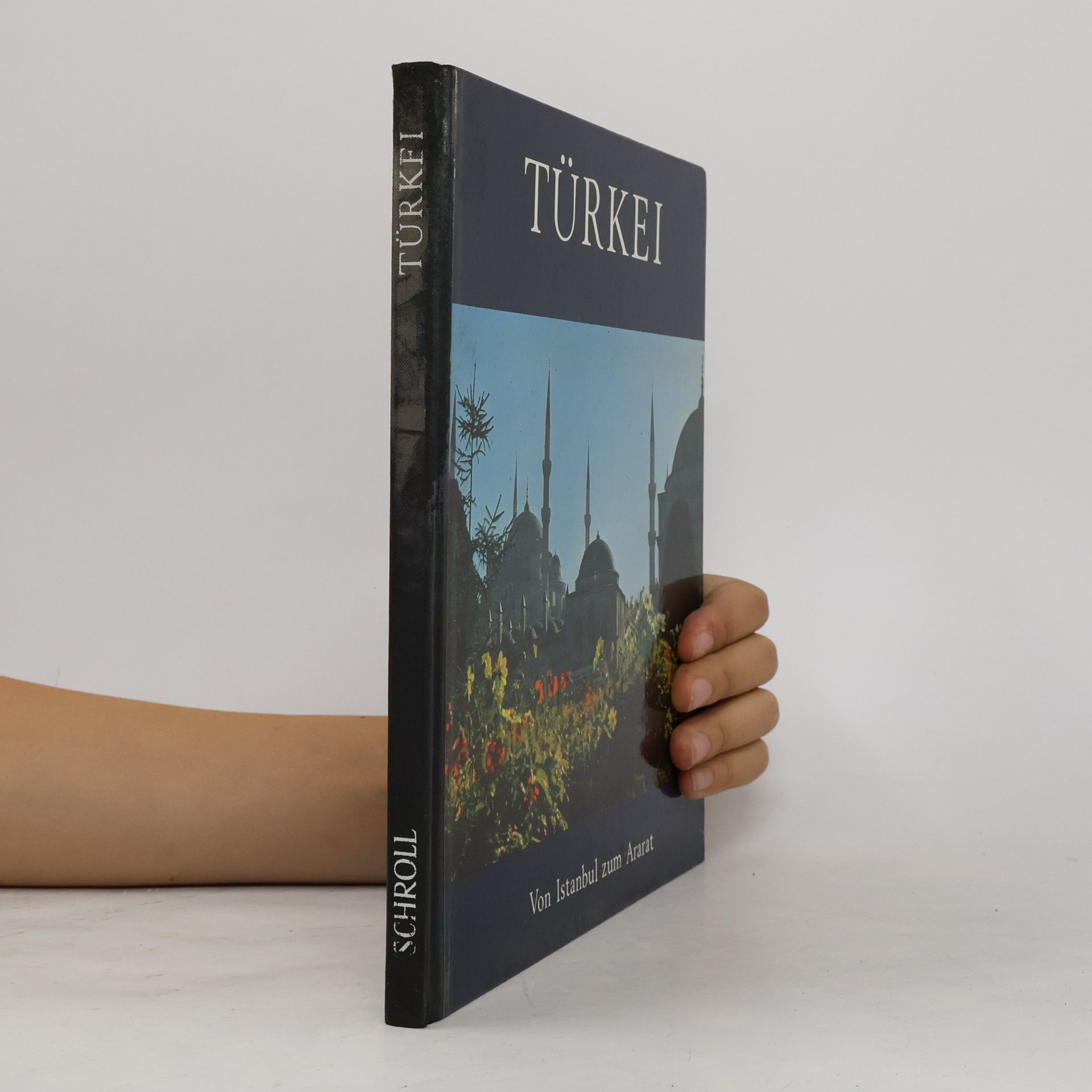 Julia Anita Babeluk Türkei