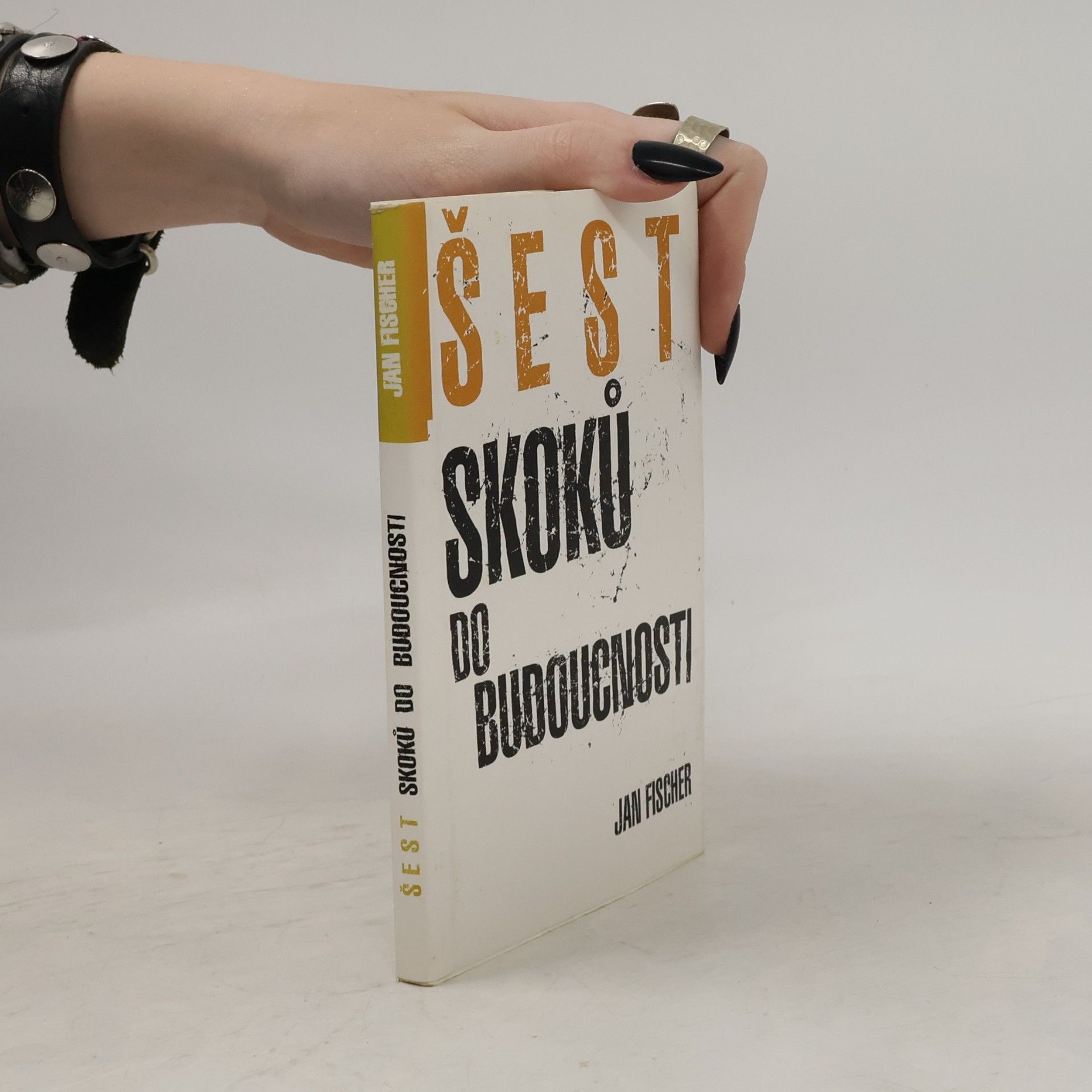 Jan Fischer (statistik) Šest skoků do budoucnosti
