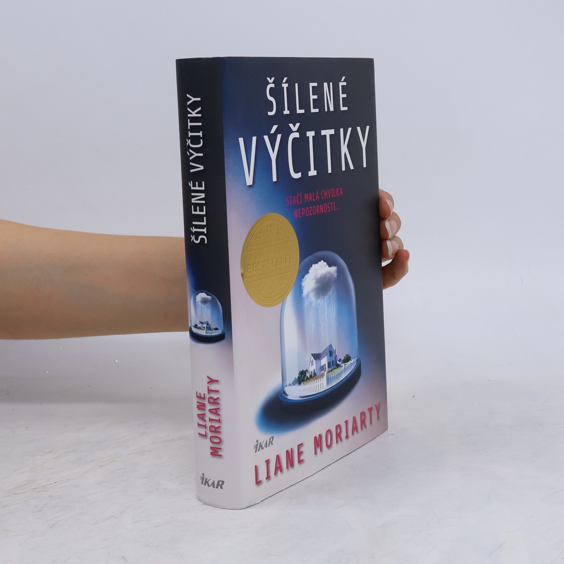 Liane Moriarty Šílené výčitky