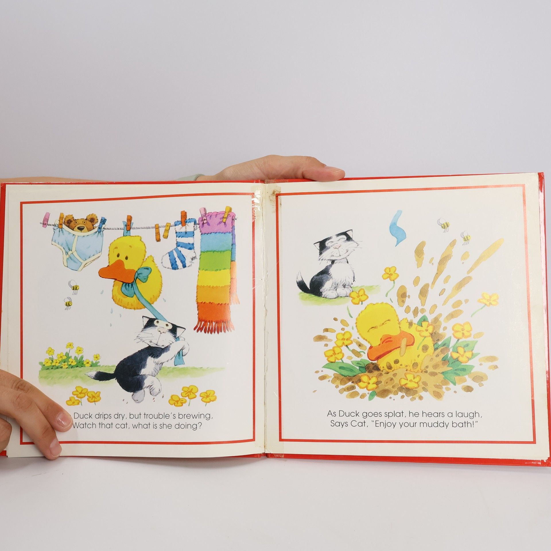 Philip Hawthorn Look and Talk Books: Duck in Trouble