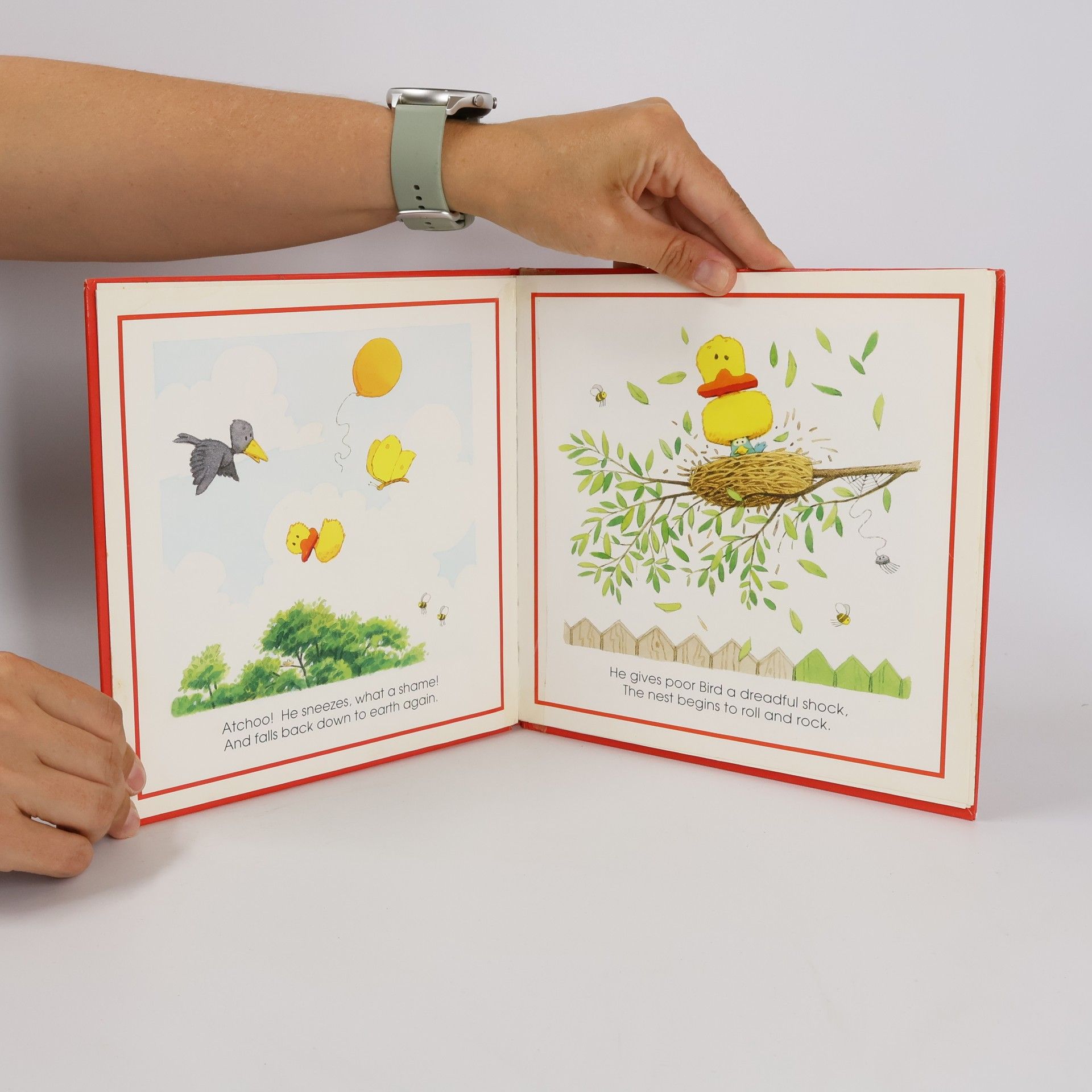 Philip Hawthorn Look and Talk Books: Duck in Trouble