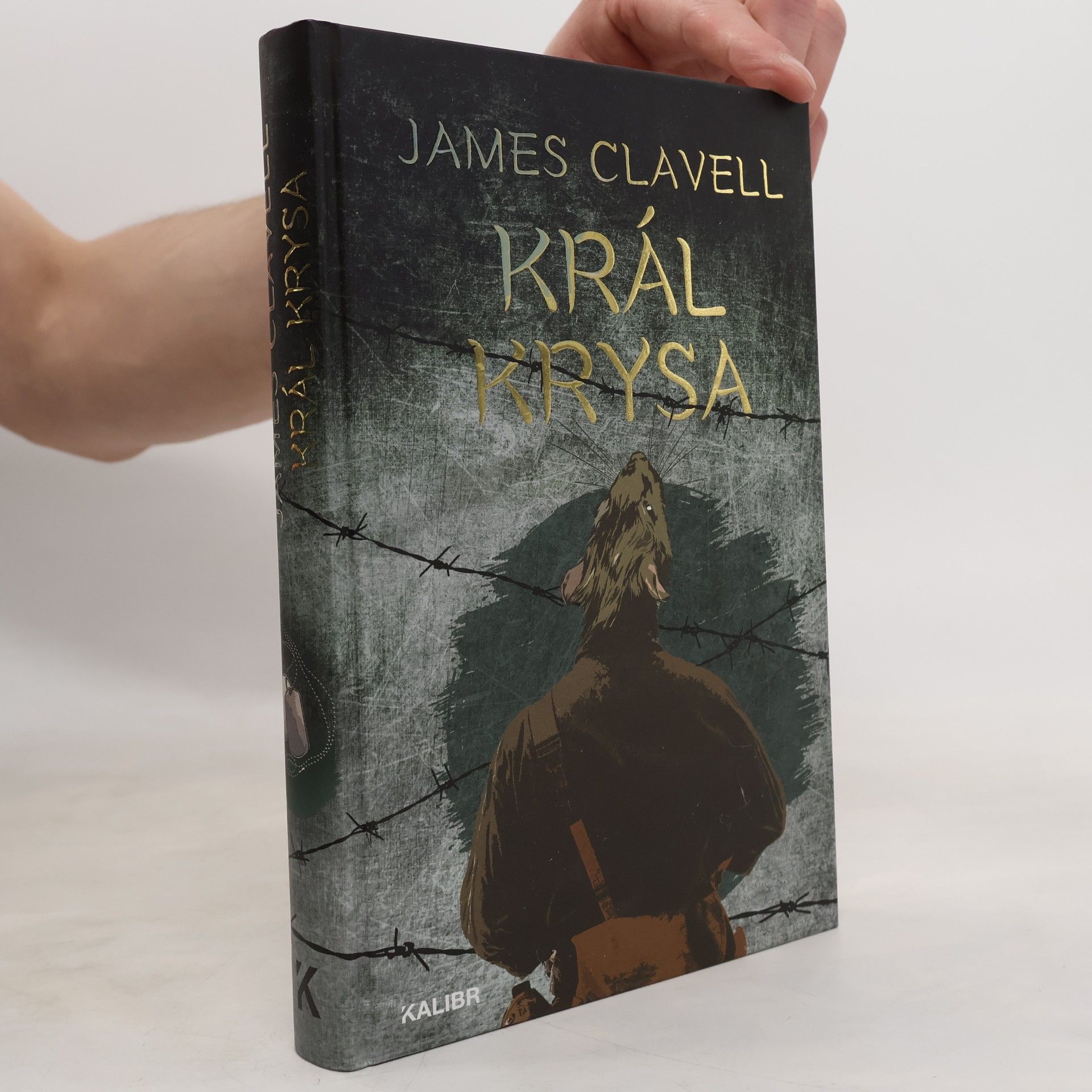 James Clavell Král Krysa