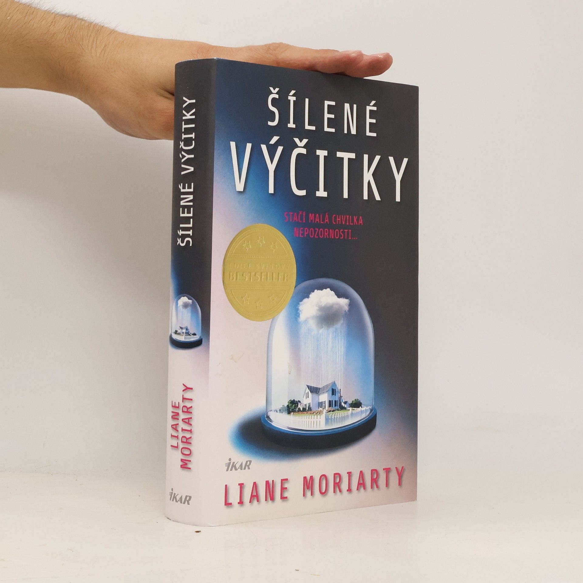 Liane Moriarty Šílené výčitky