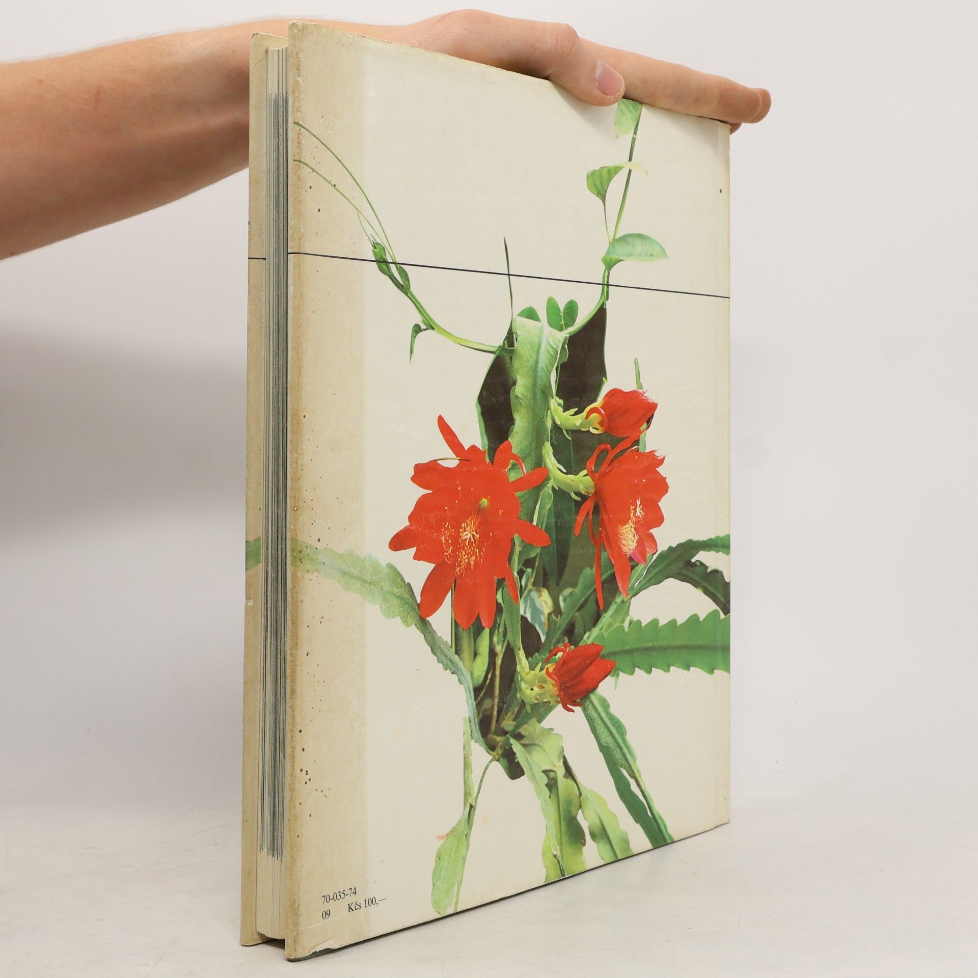 Rudolf Smahel Flora Olomouc