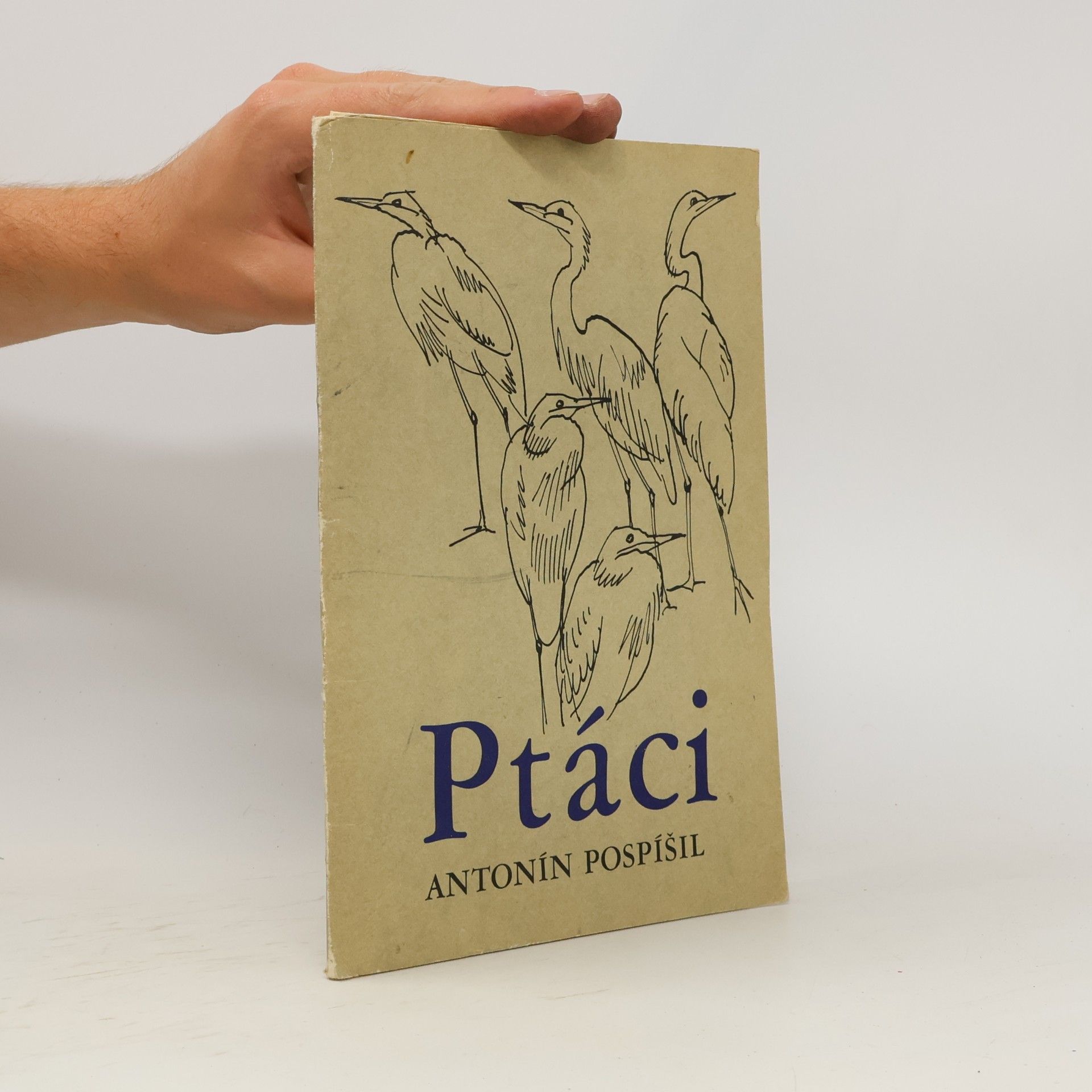 Ptáci