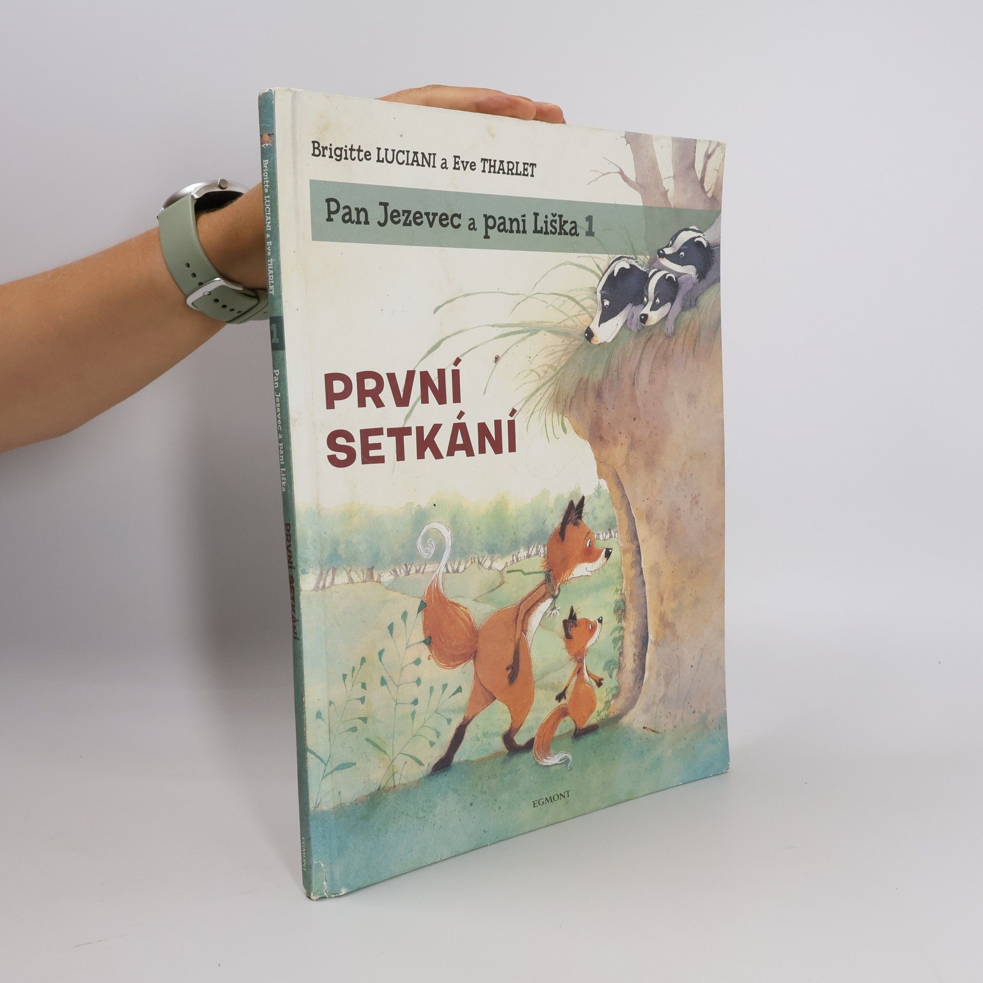 Brigitte Luciani První setkání