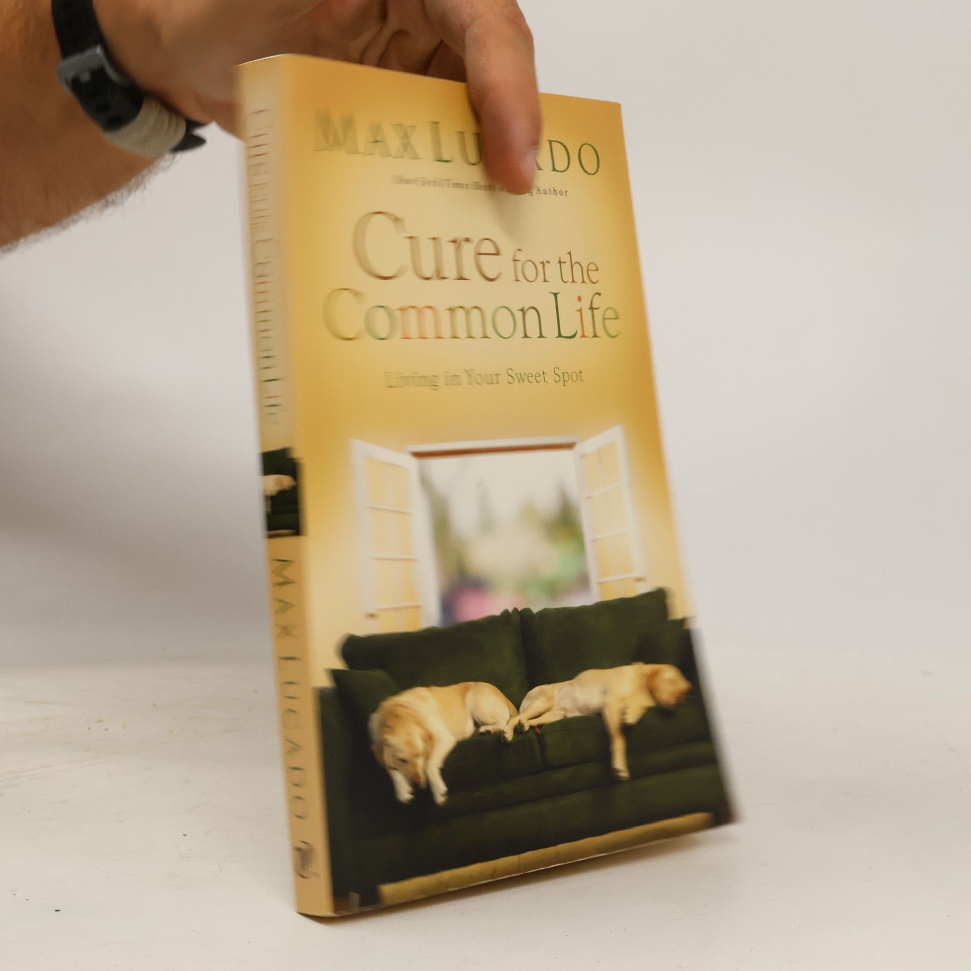 Max Lucado Cure for the Common Life