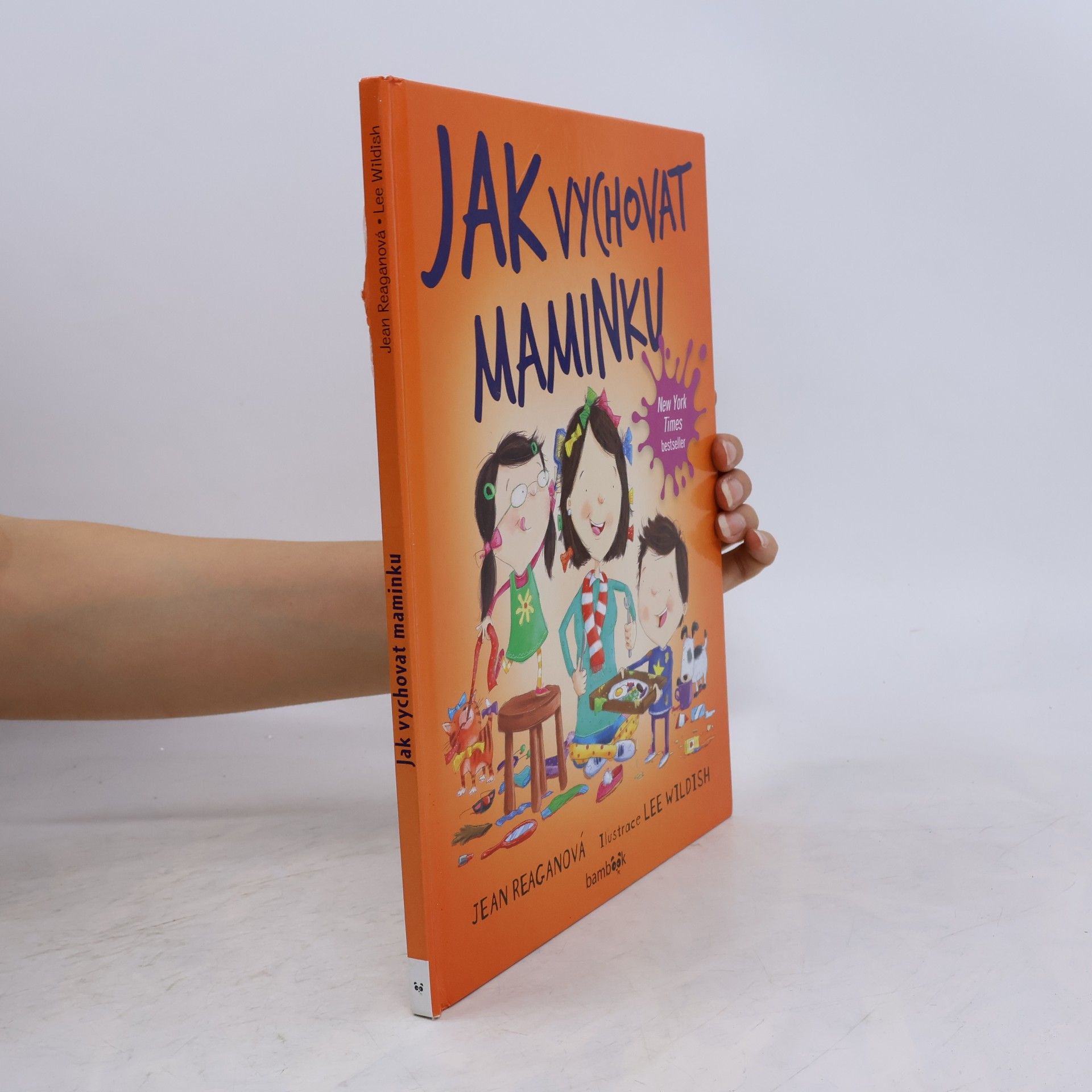 Jean Reagan Jak vychovat maminku