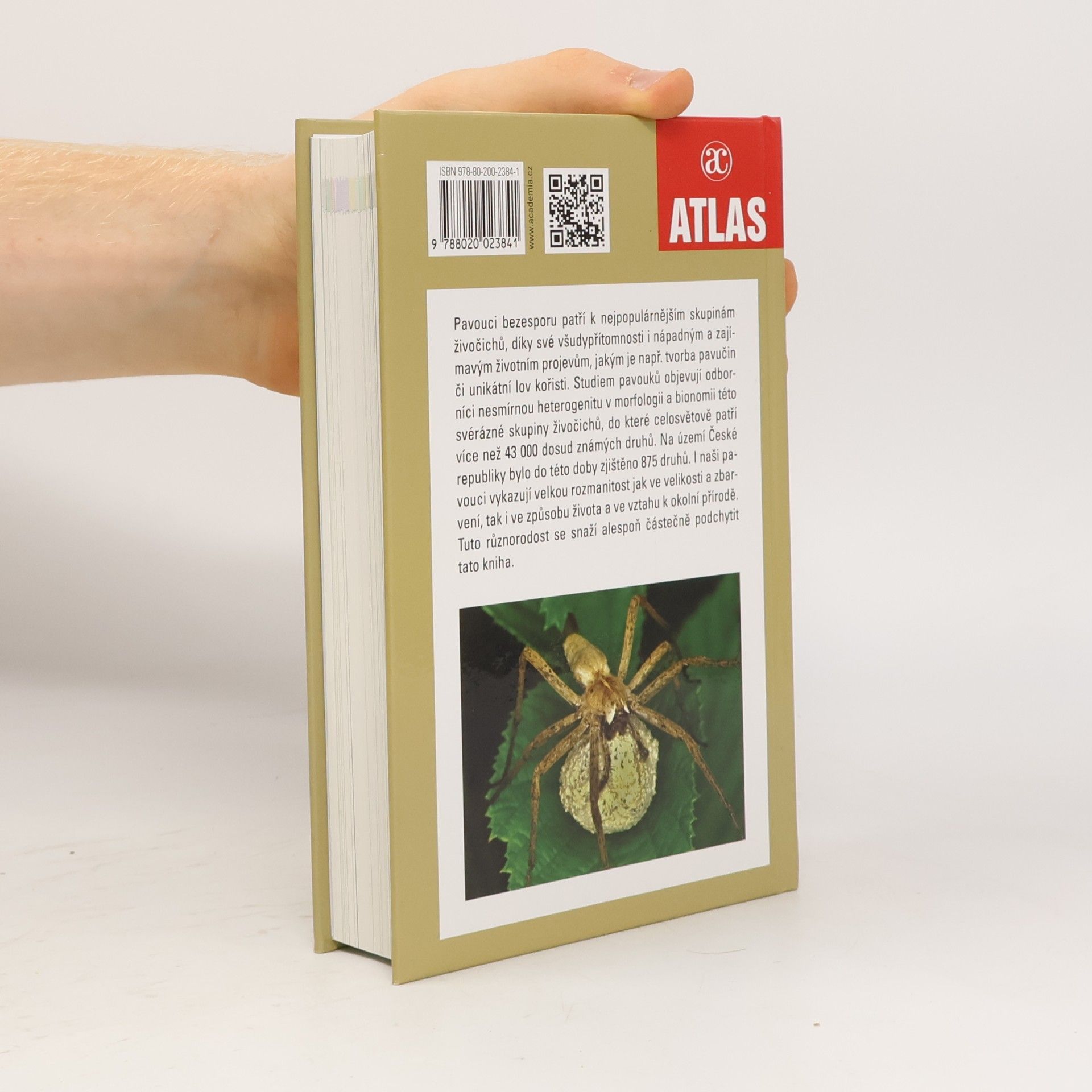 Antonín Kůrka Pavouci České republiky