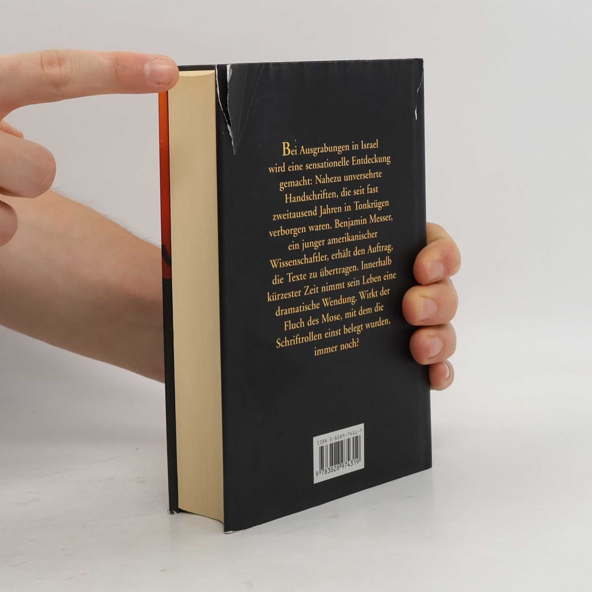 Barbara Wood Der Fluch der Schriftrollen
