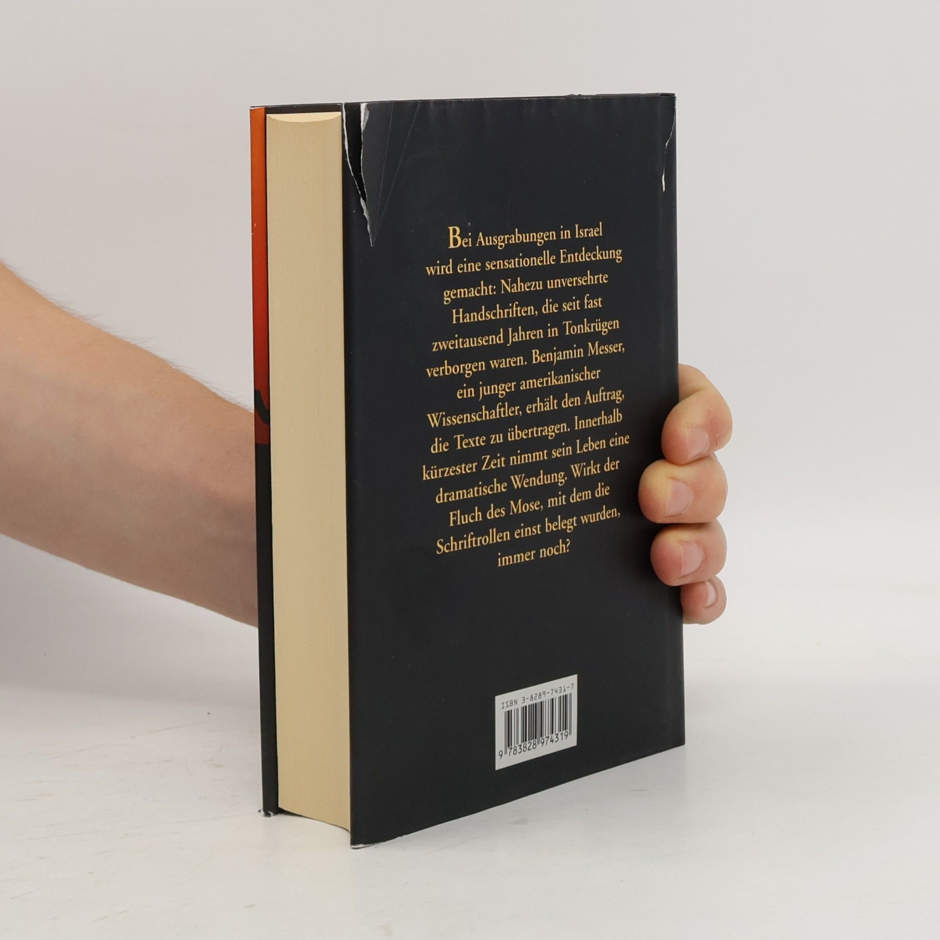 Barbara Wood Der Fluch der Schriftrollen