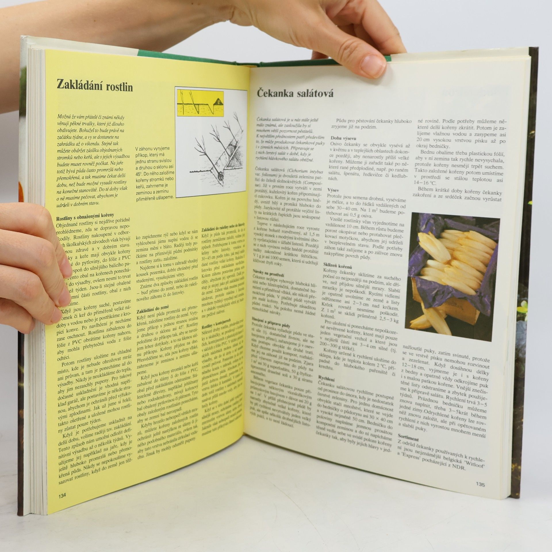 Autorenkollektiv Zima v zahradě