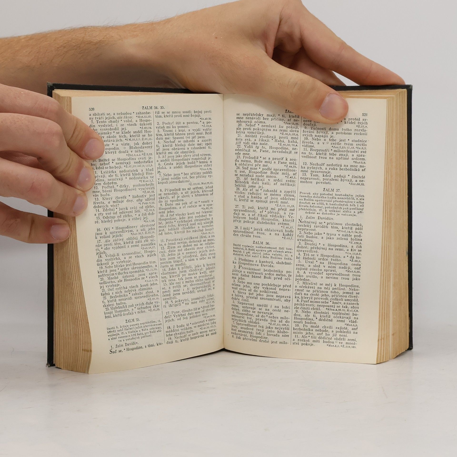 Kolektiv autorů Biblí svatá aneb Všecka svatá písma Starého i Nového zákona podle posledního vydání kralického z roku 1613