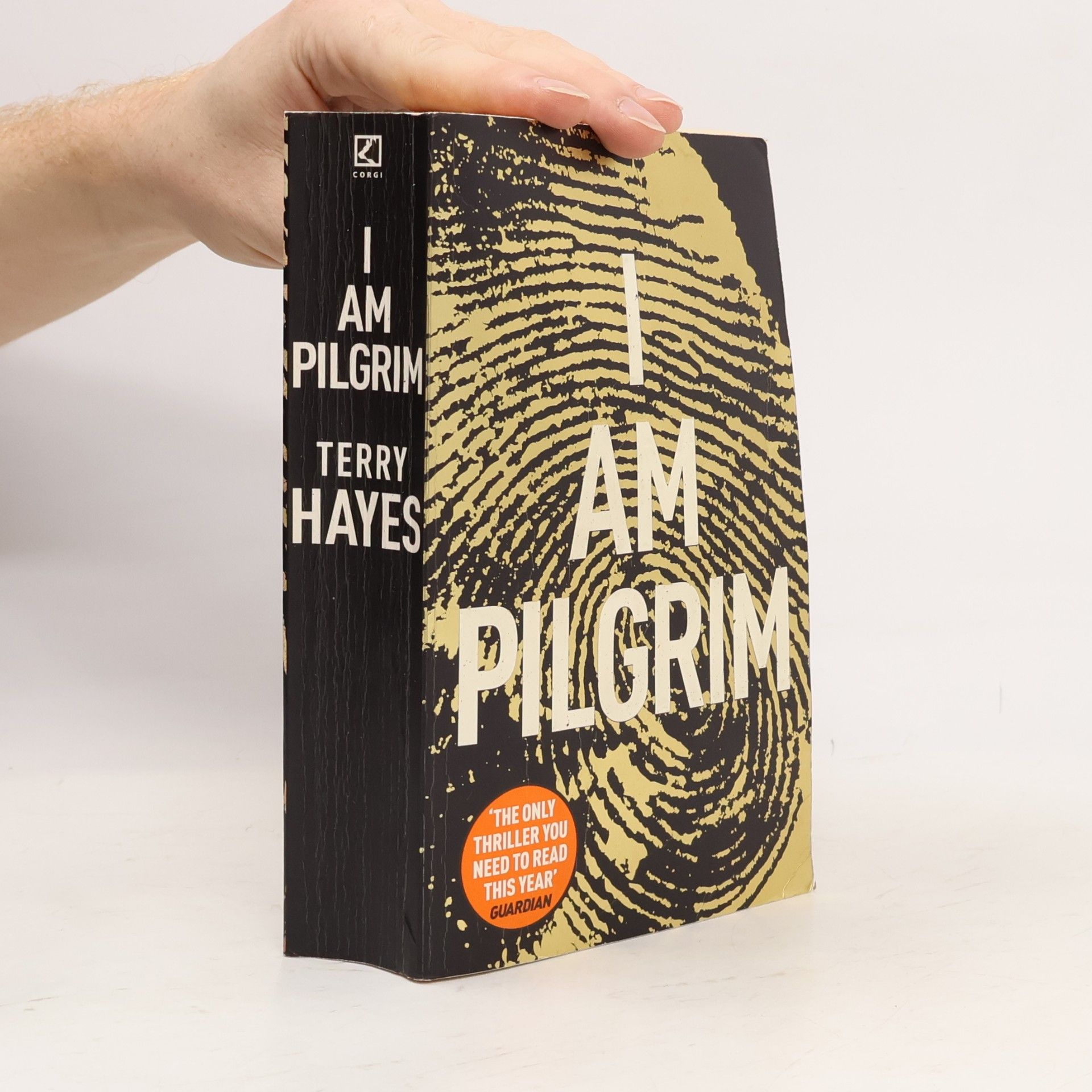 Terry Hayes I am pilgrim