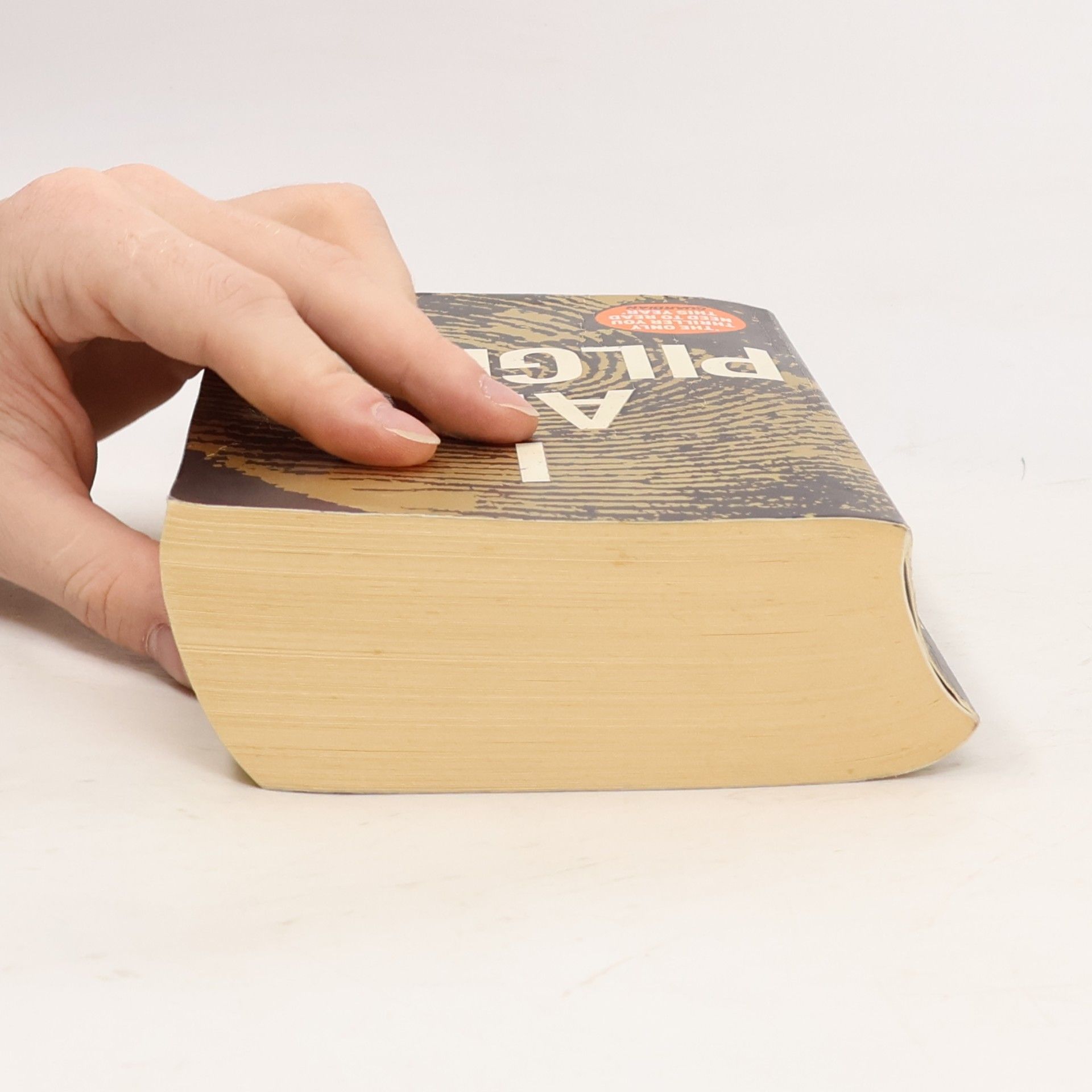Terry Hayes I am pilgrim