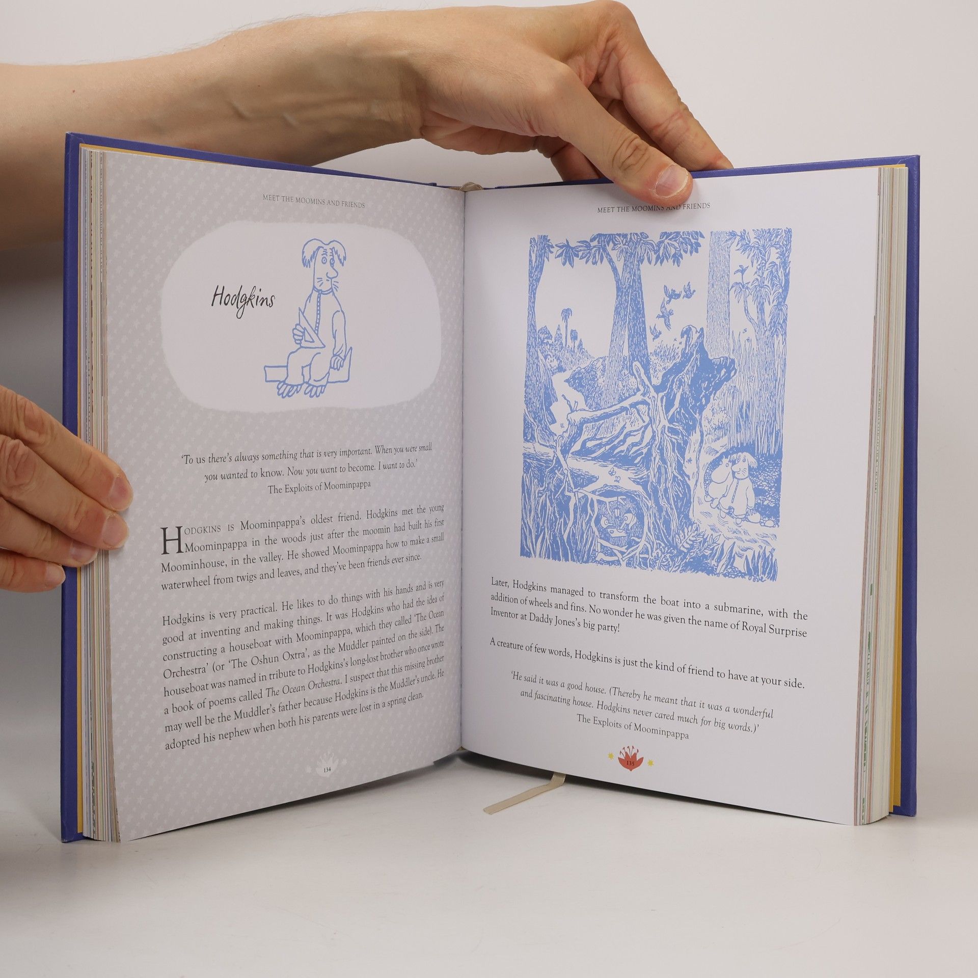 Philip Ardagh The Moomins: The World of Moominvalley