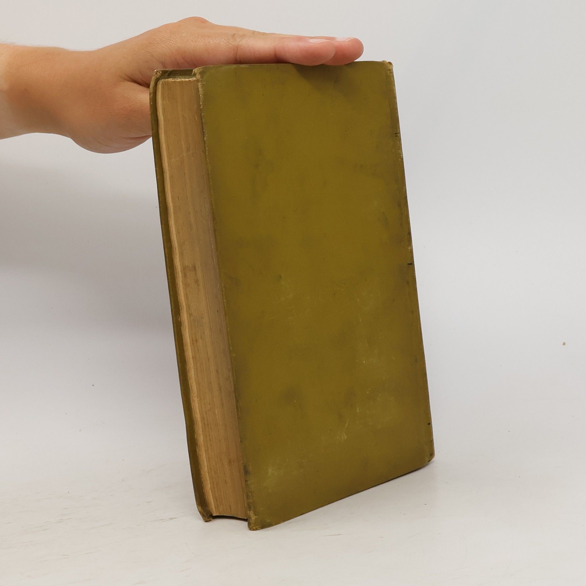 John Ruskin Stones of Venice, Volume the First, The Foundations