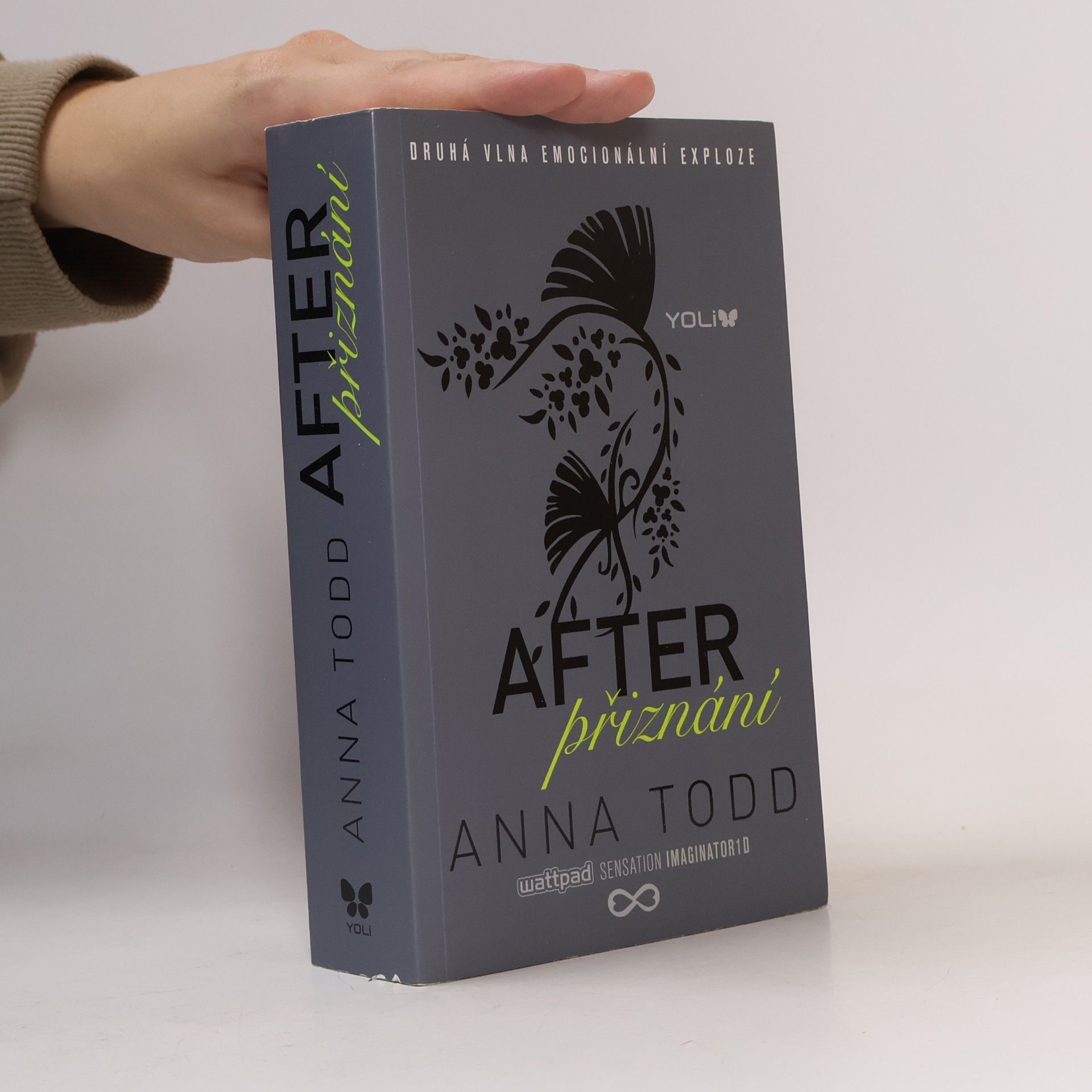 Anna Todd After. Přiznání