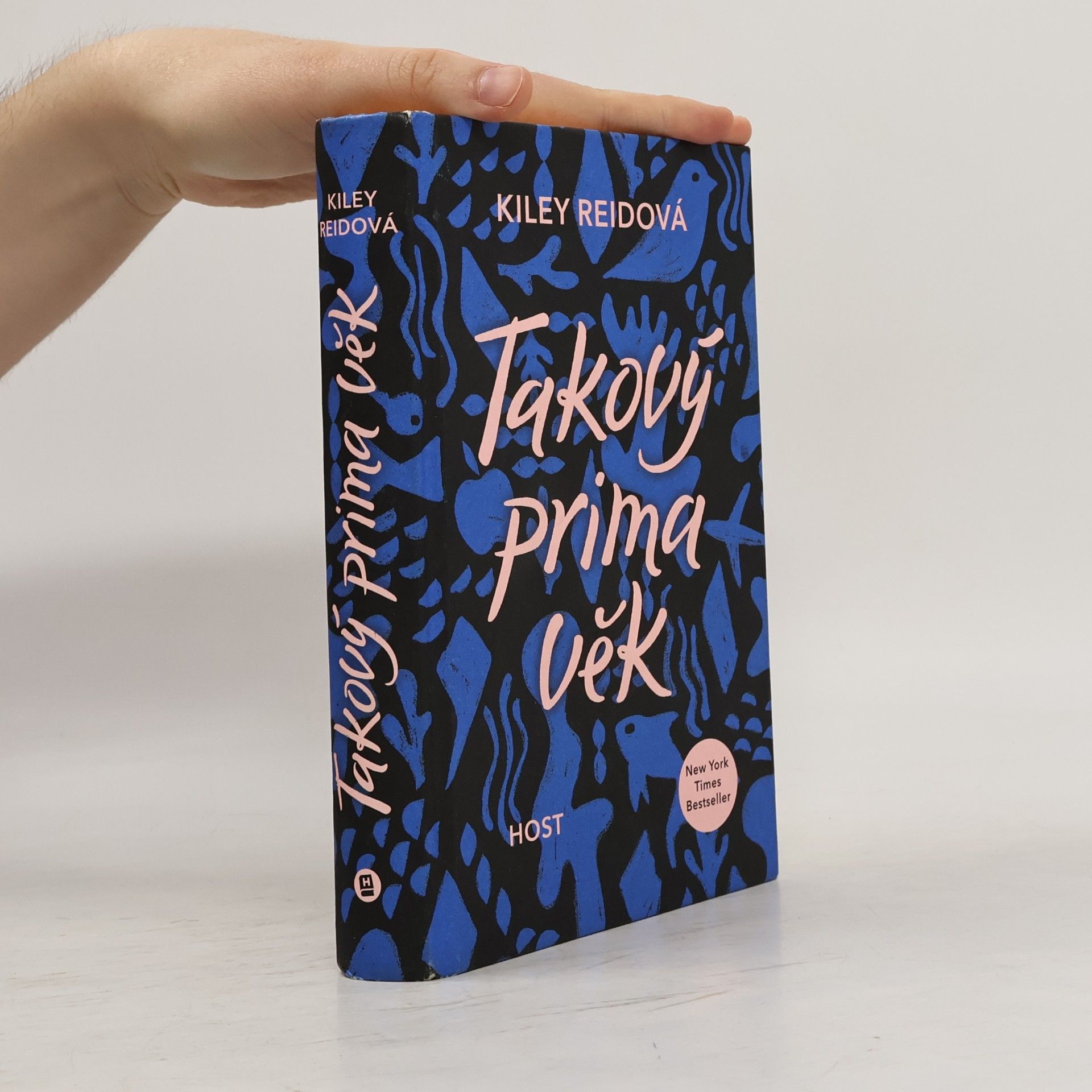 Kiley Reid Takový prima věk