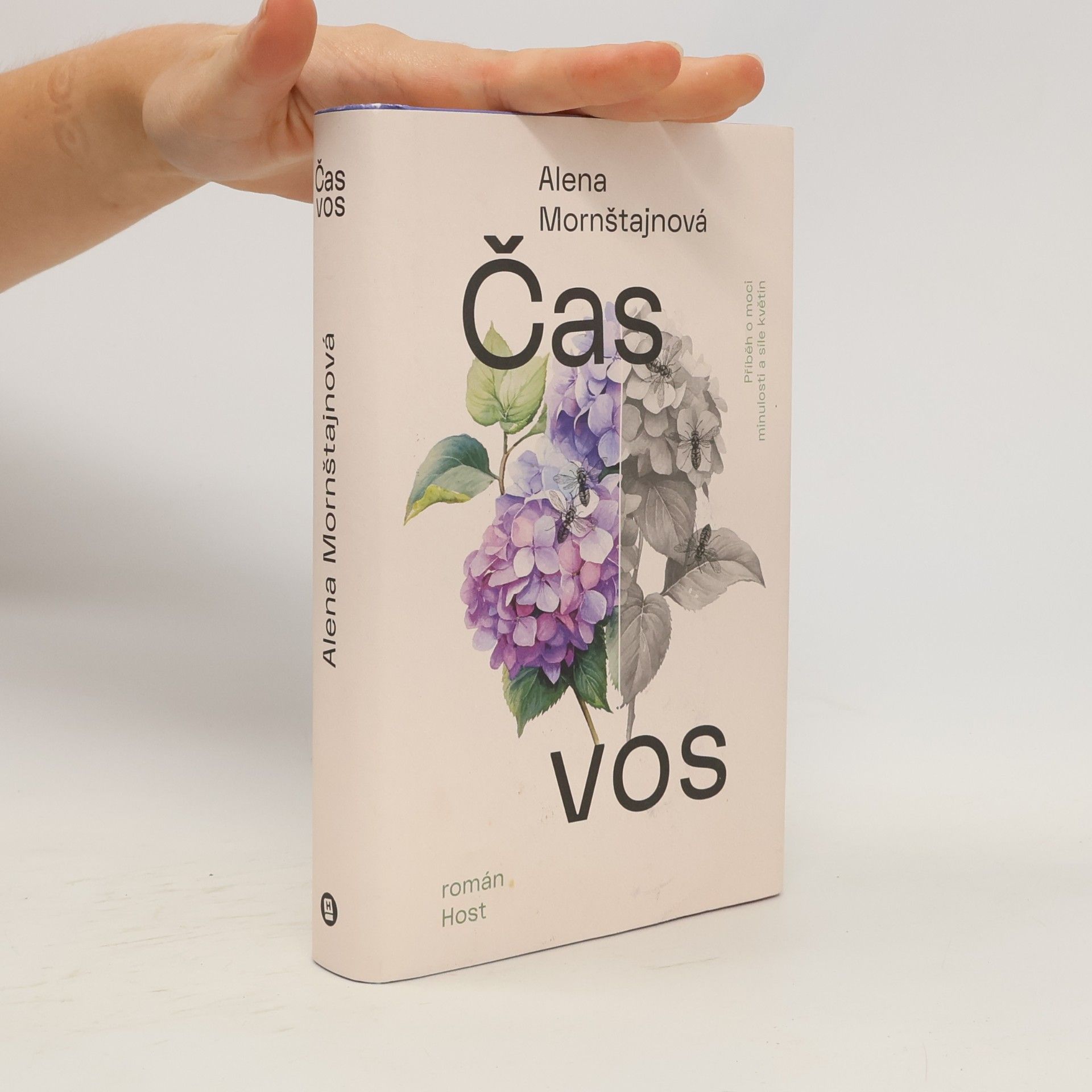 Čas vos