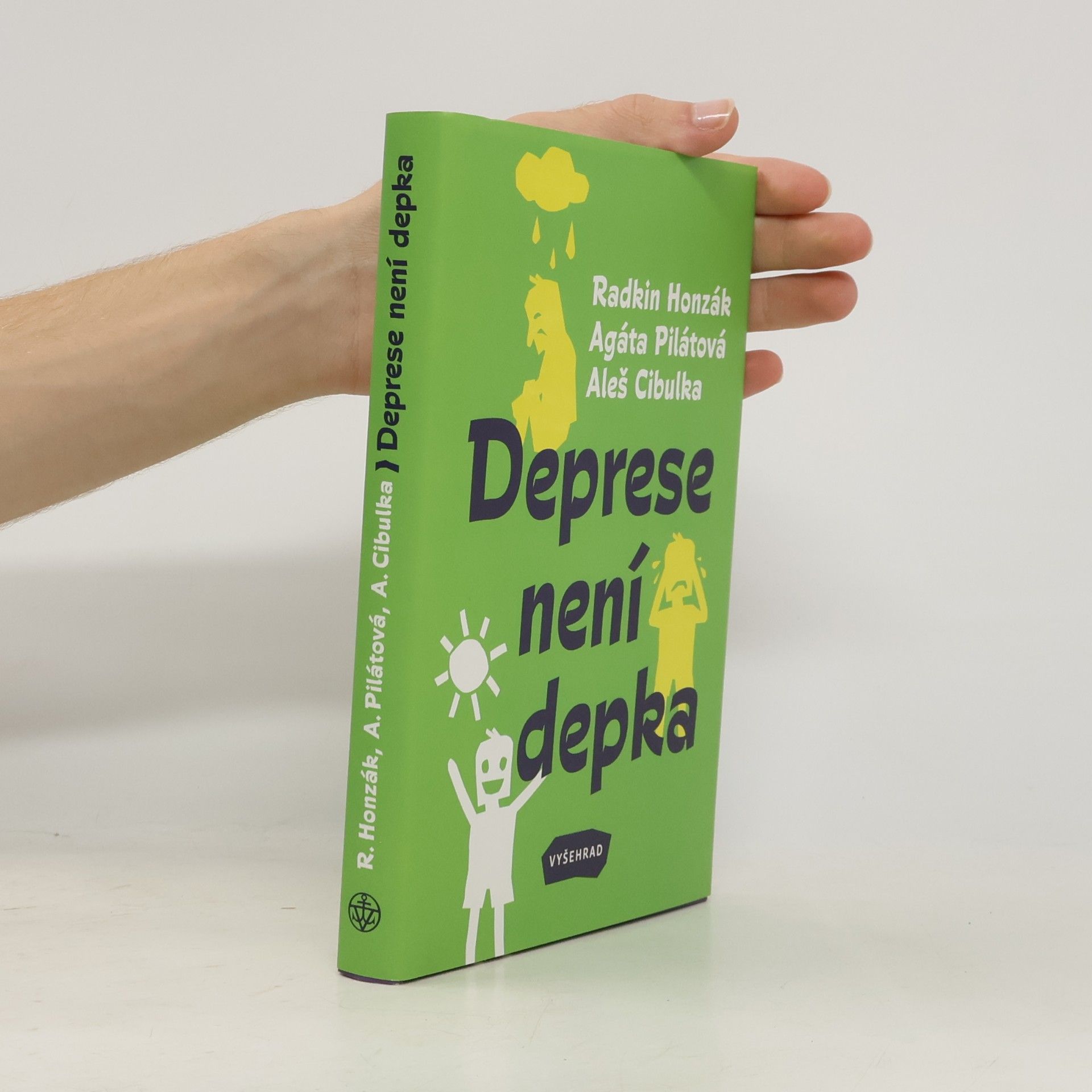 Kolektiv autorů Deprese není depka